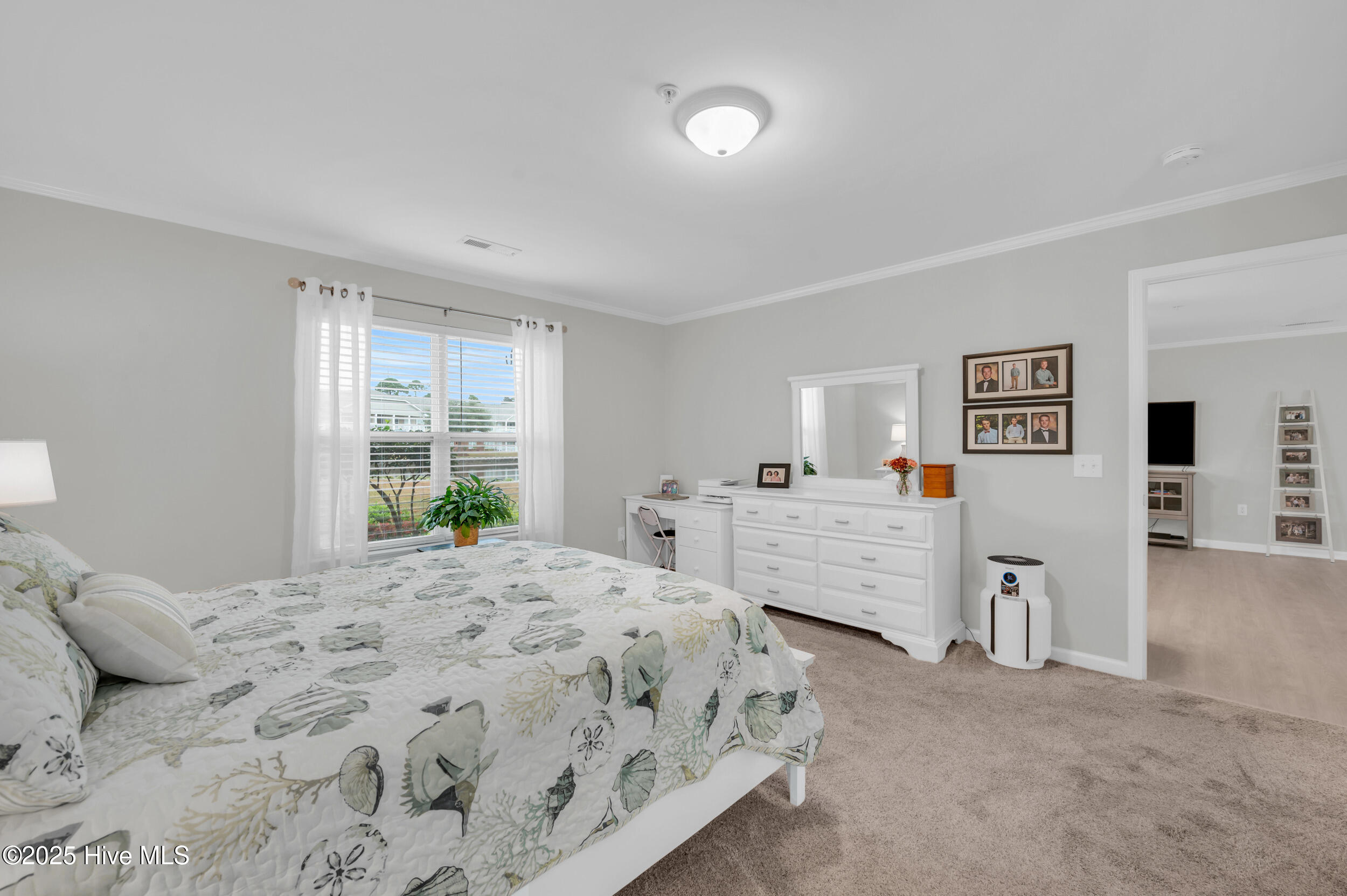 100538777 | Photo 14