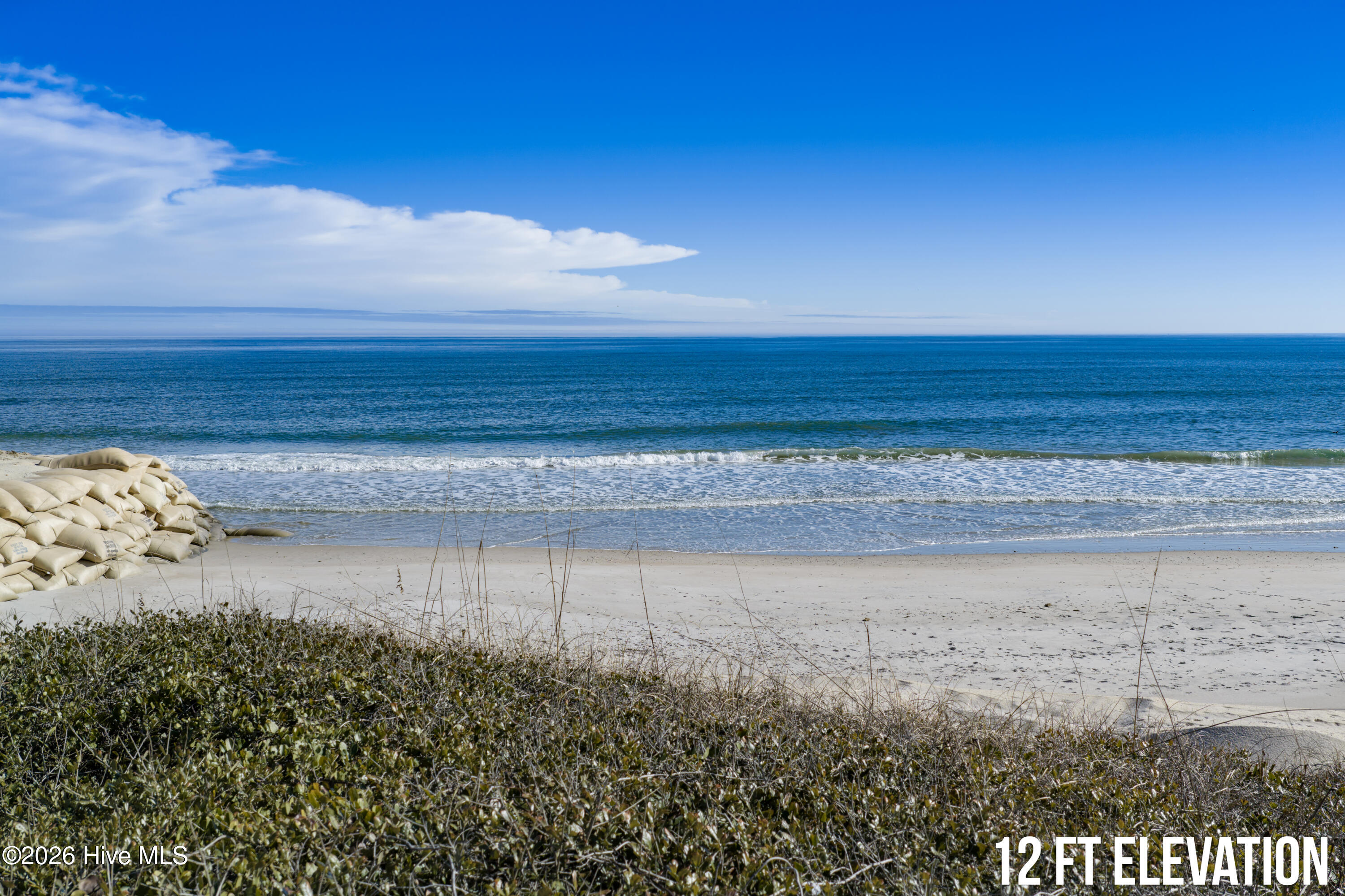 100557926 | Photo 14