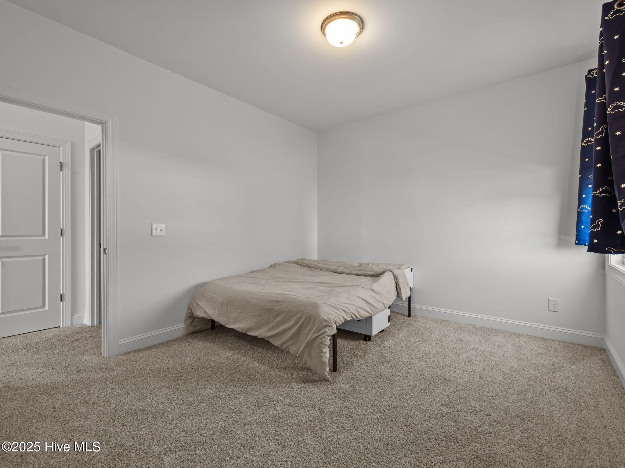 100534730 | Photo 21