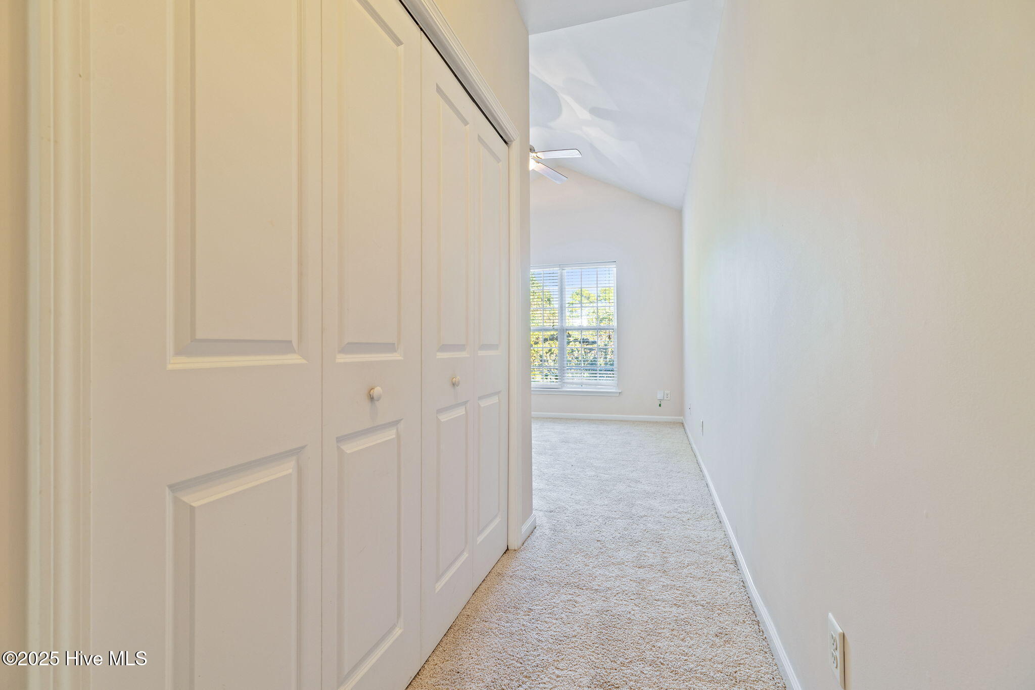 100542041 | Photo 16