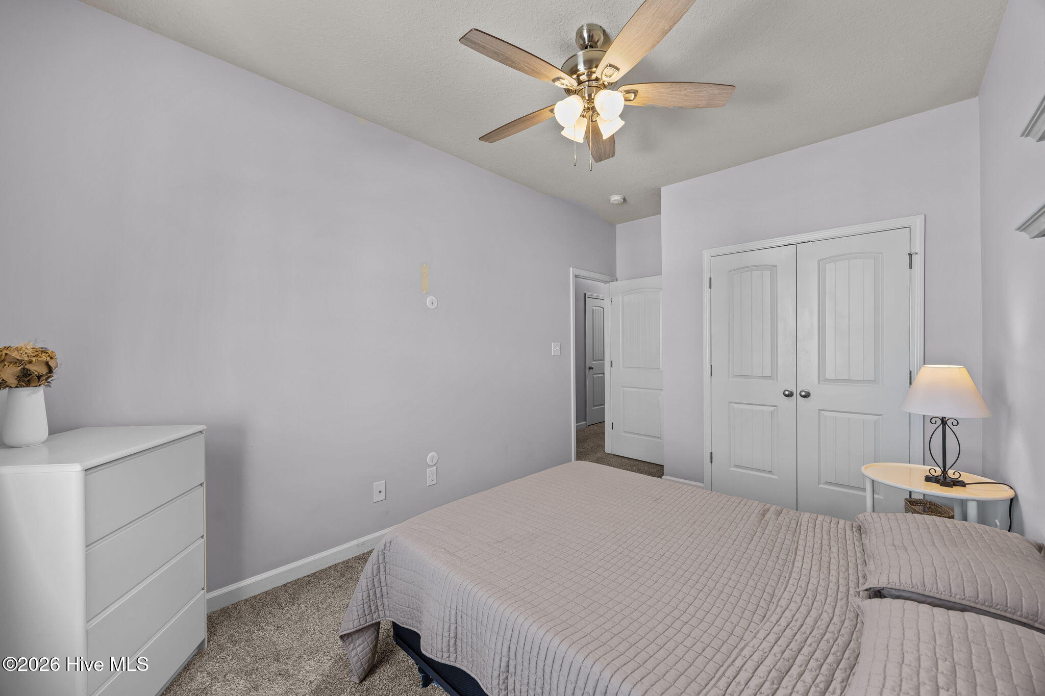 100556762 | Photo 30