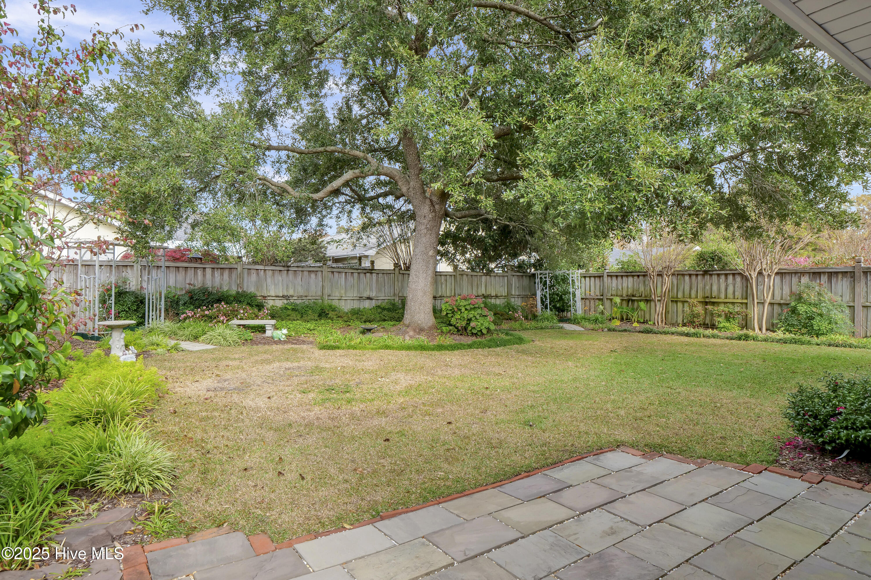 100541814 | Photo 33