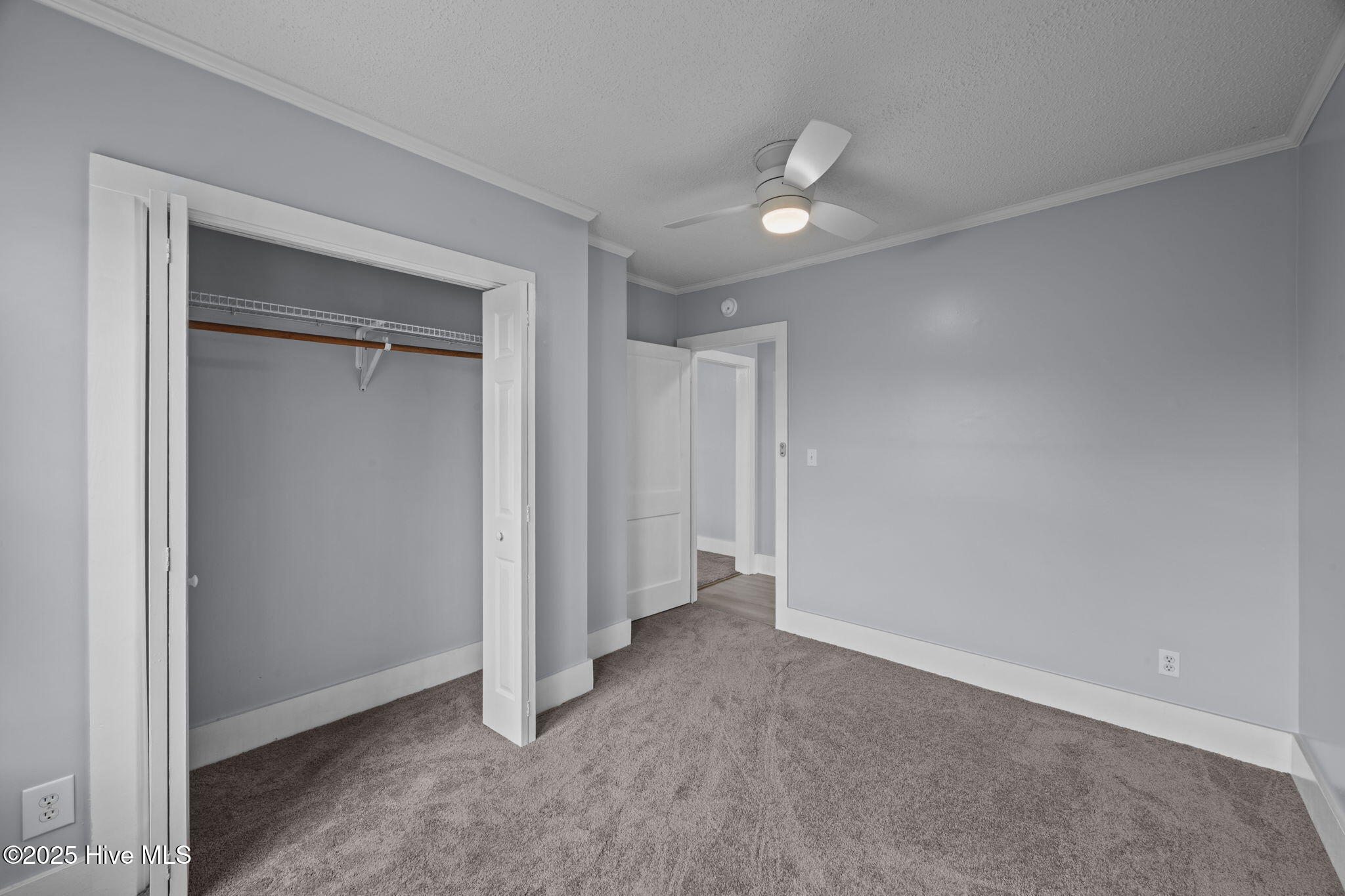 20-web-or-mls-0C0A9174