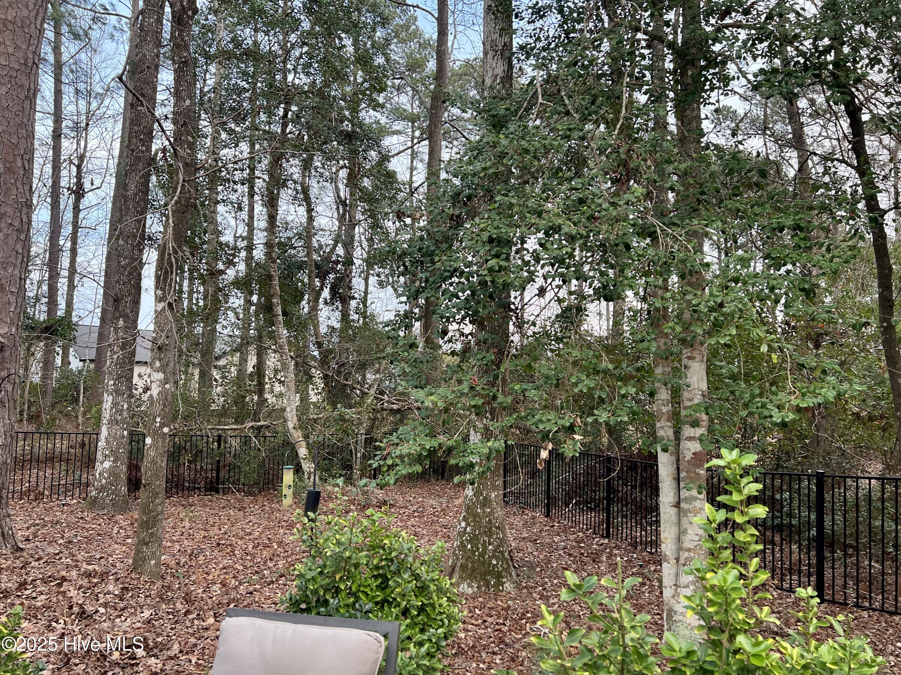 100524806 | Photo 37