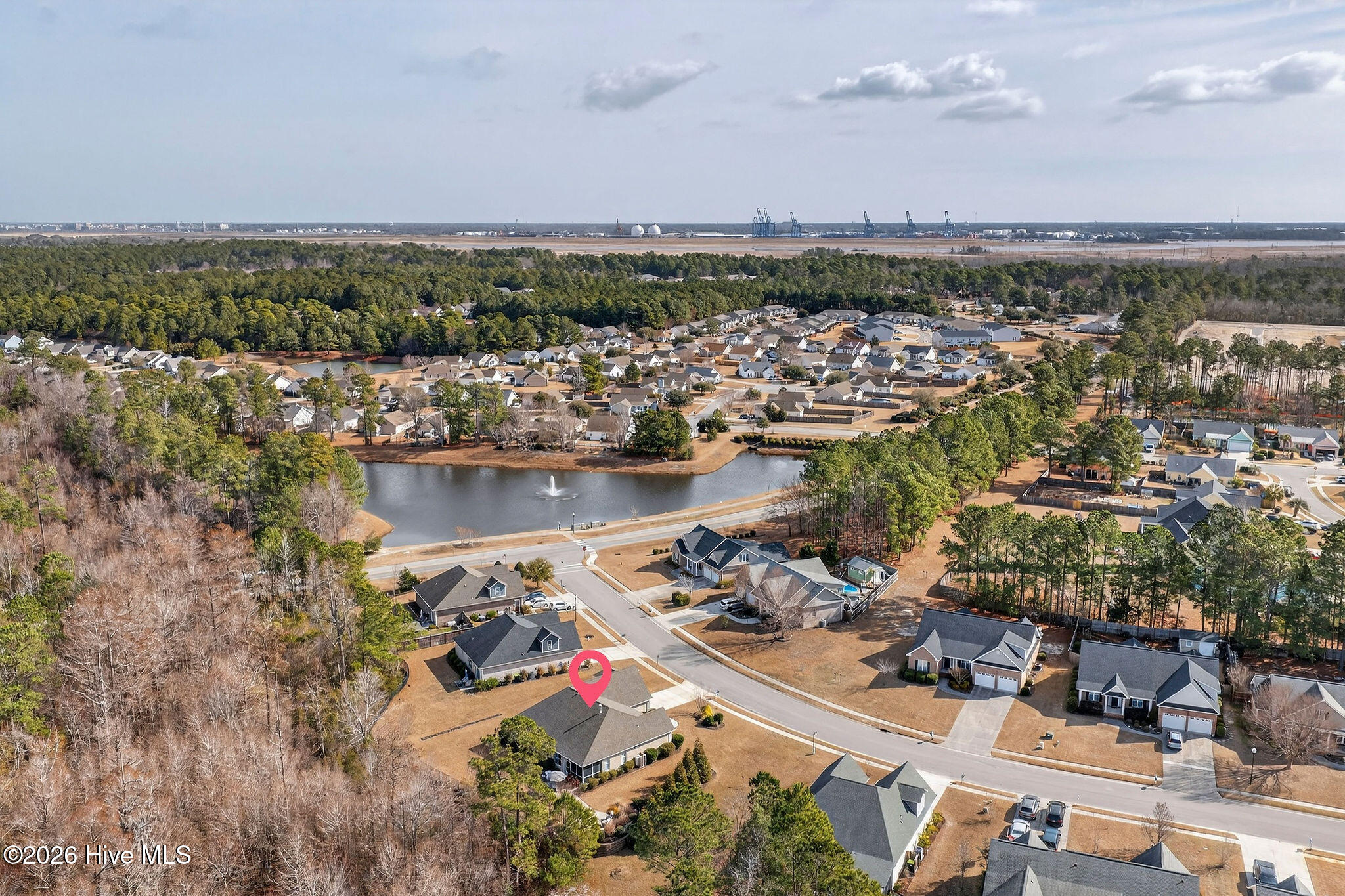 100558265 | Photo 62