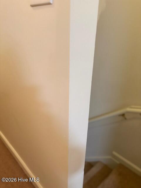 100565556 | Photo 12