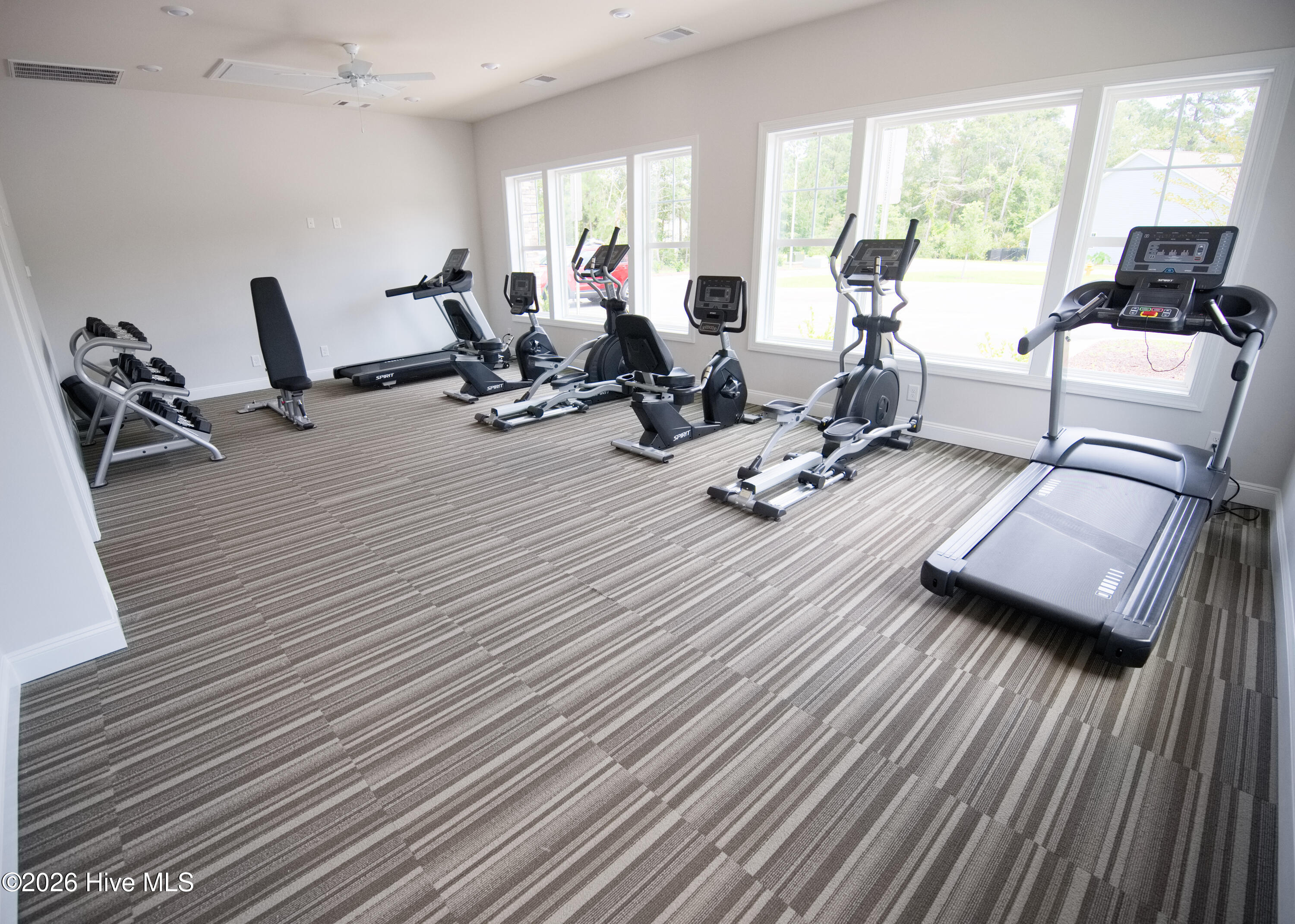 100559386 | Photo 59