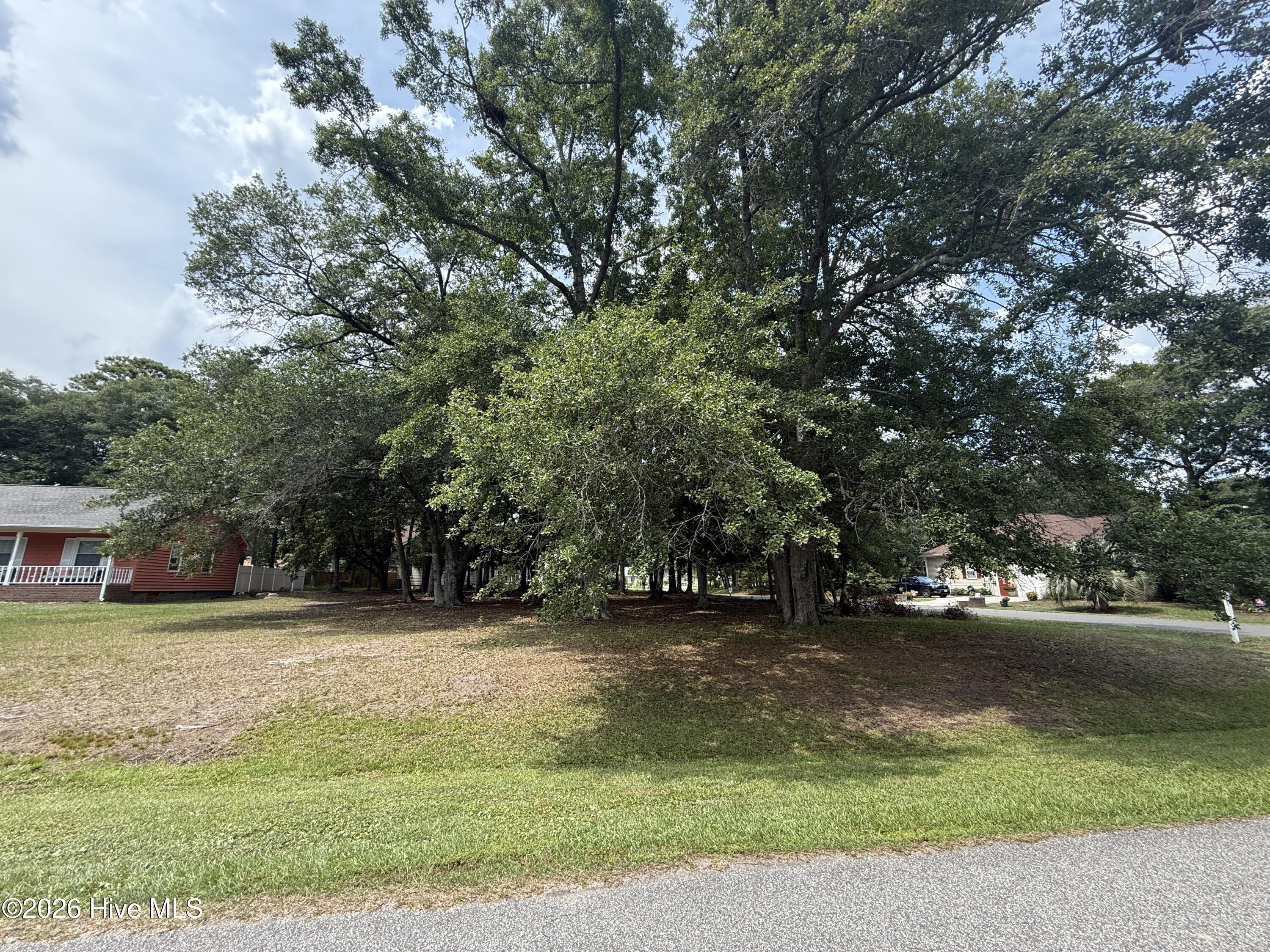 Carolina Barrier Islands