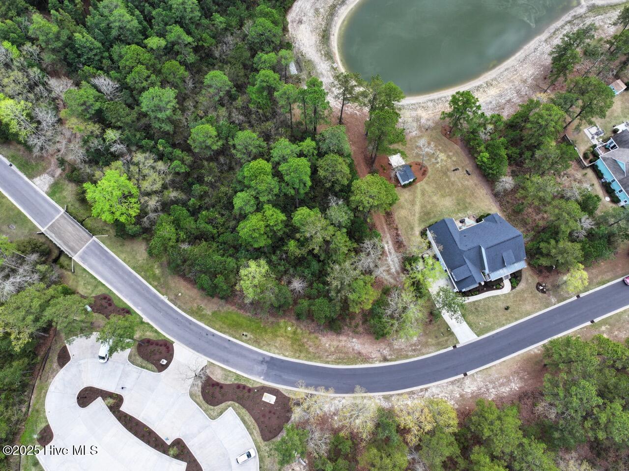 100501196 | Photo 12