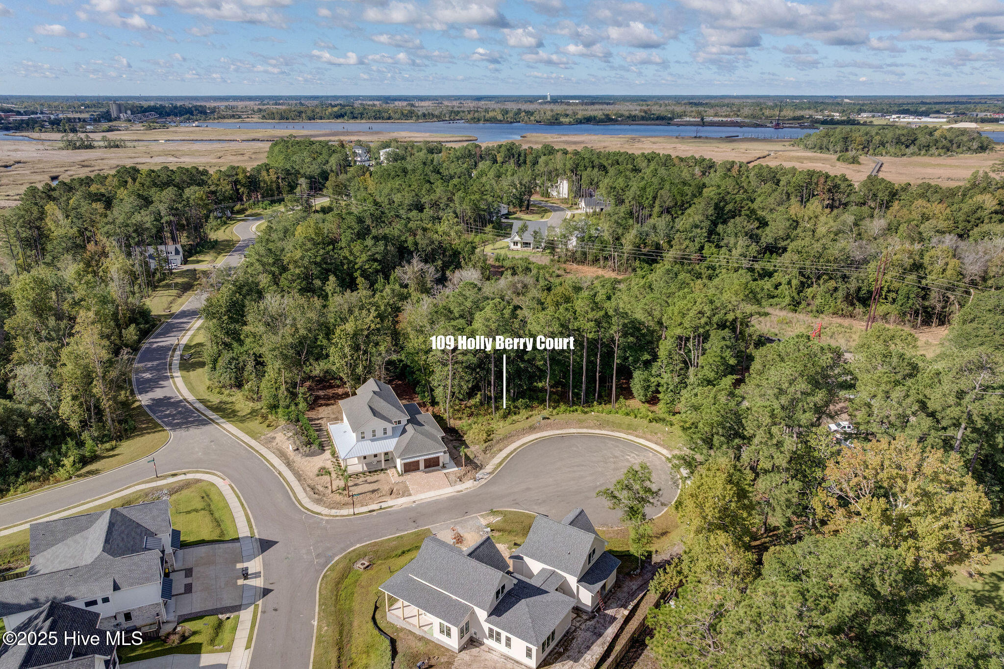 100537676 | Photo 13