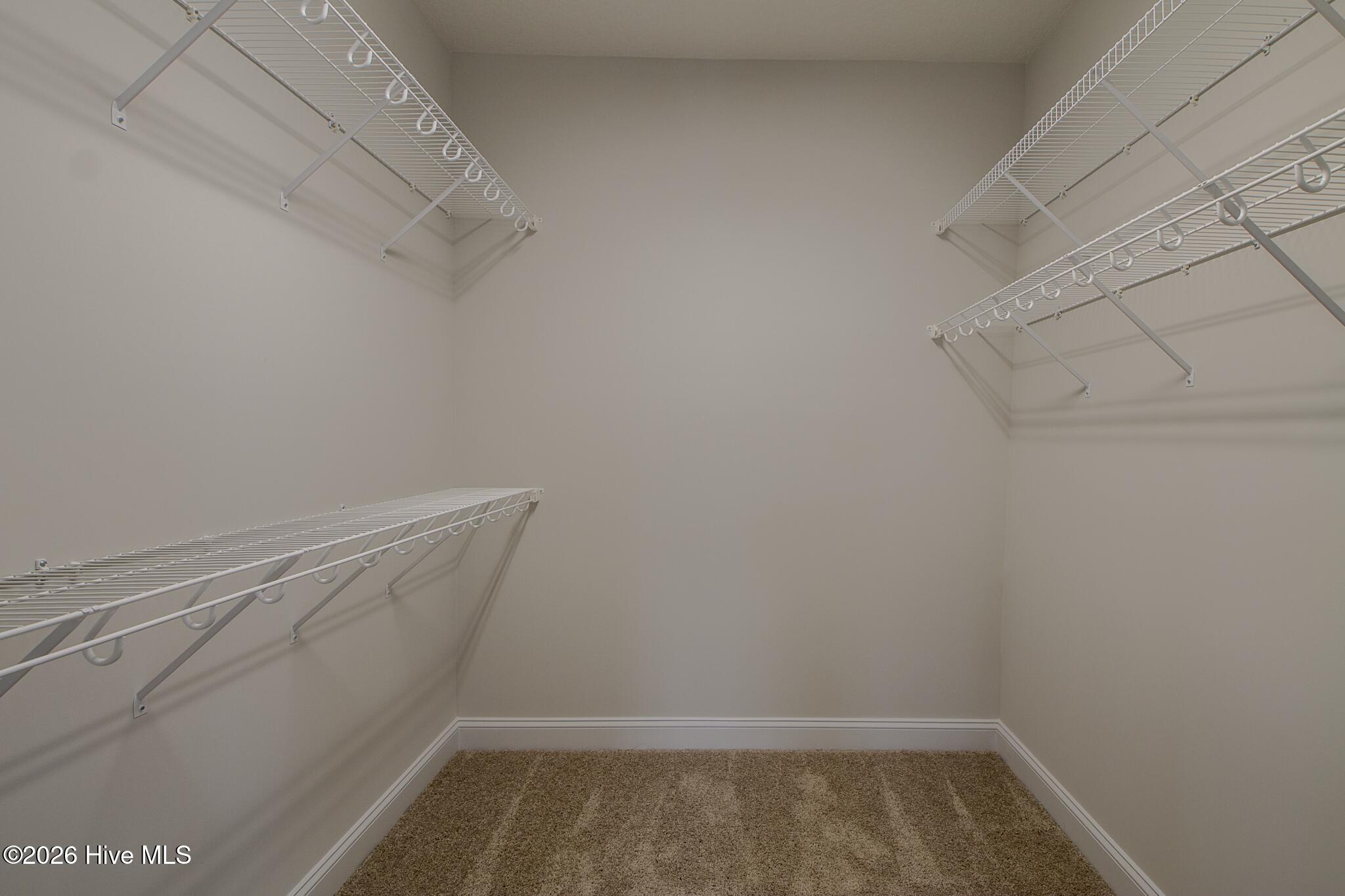 100497435 | Photo 21