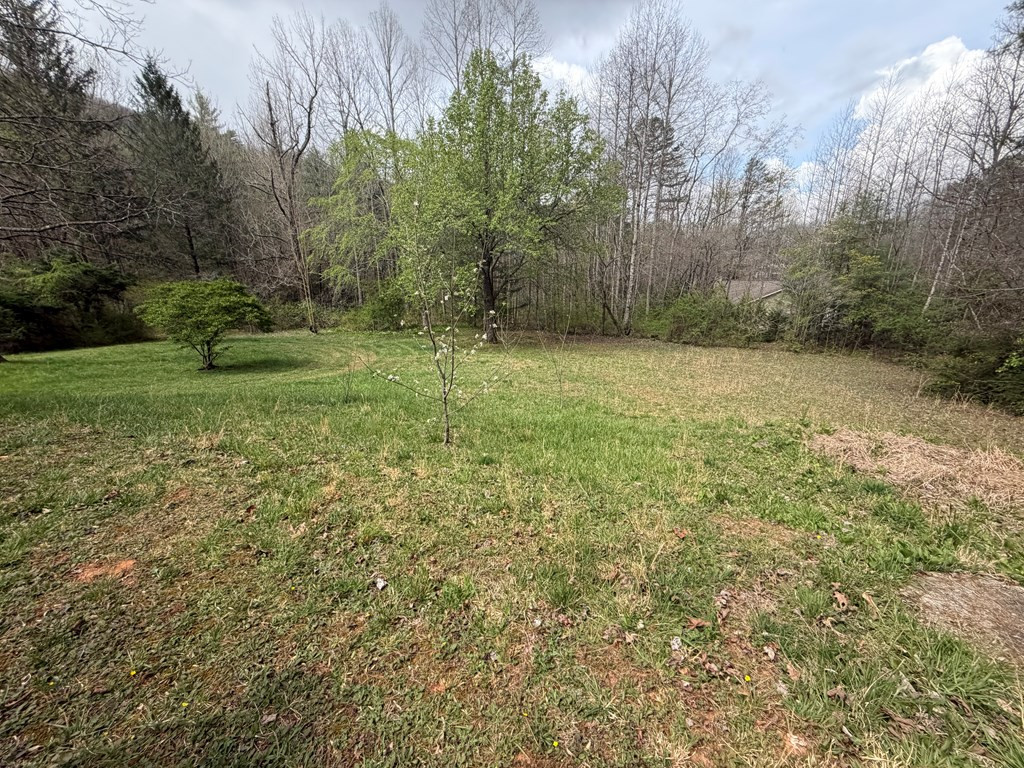 8158 Beaver Dam Road, Murphy, NC 28906 Listing Photo  14