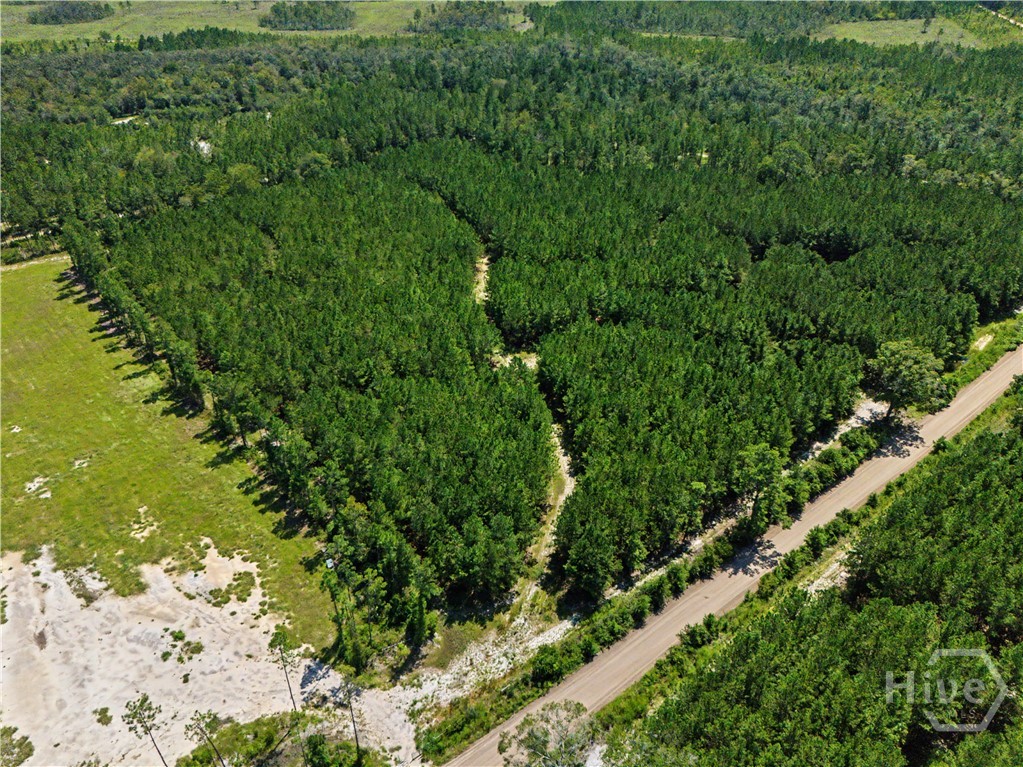 Photo 3 of Land for sale at Lot 1-o Ml Branch Clb Rd, Pembroke, GA 31321 | MLS# SA364011 | Listing updated on 2026-10-17