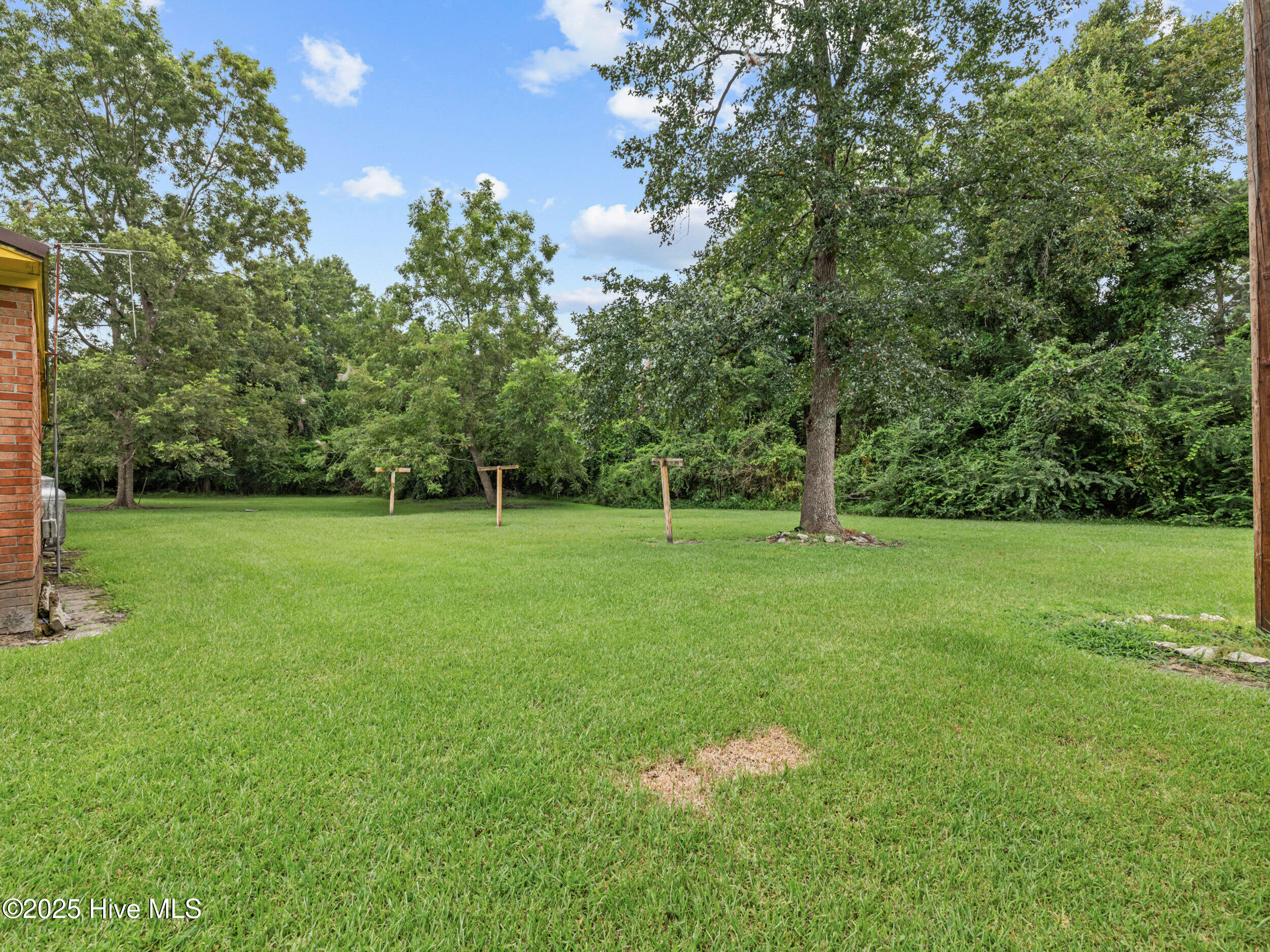 100524273 | Photo 31