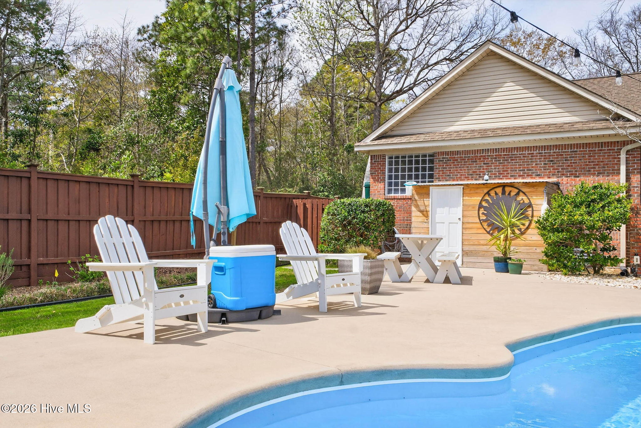 100562589 | Photo 69