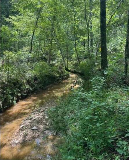 Property at Lot K Old Edgefield Road