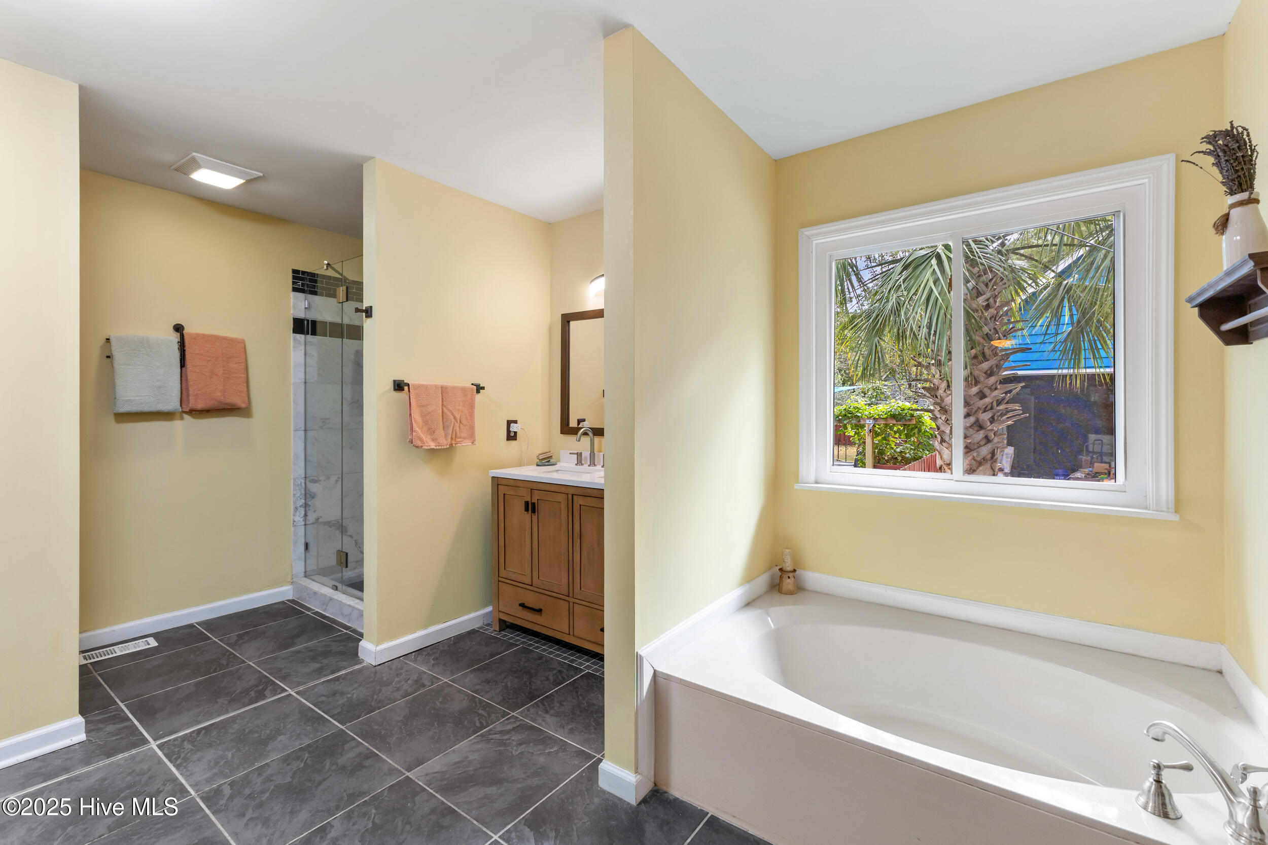 100533907 | Photo 19