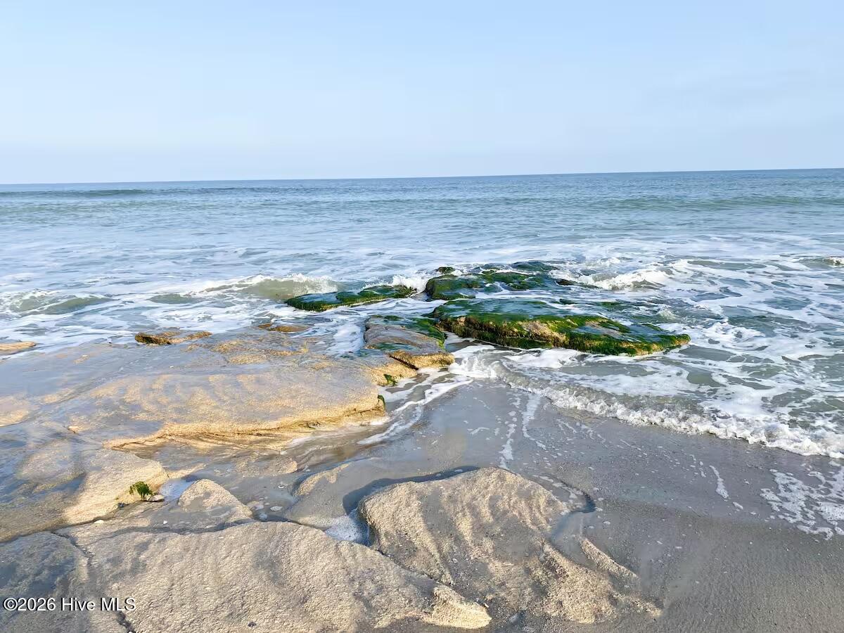 100562681 | Photo 37