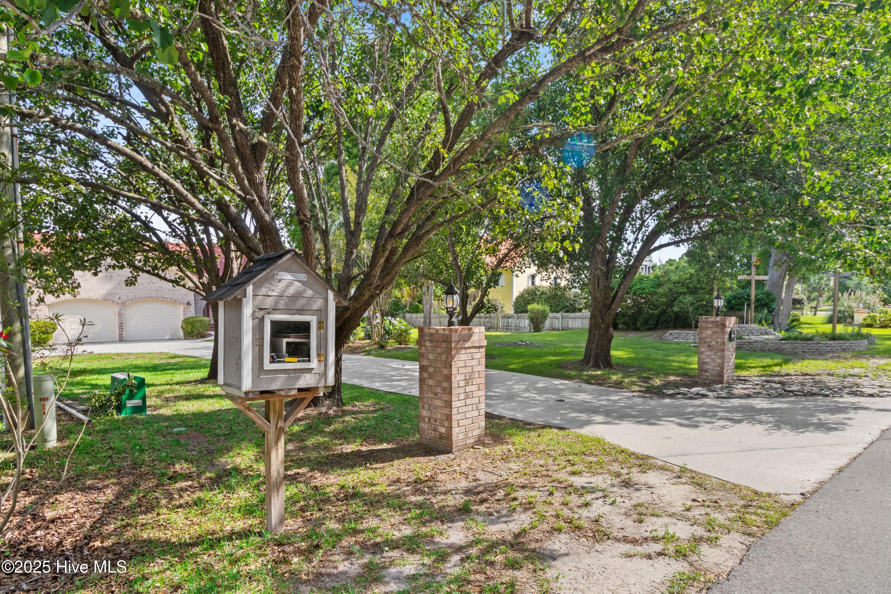 100556358 | Photo 70