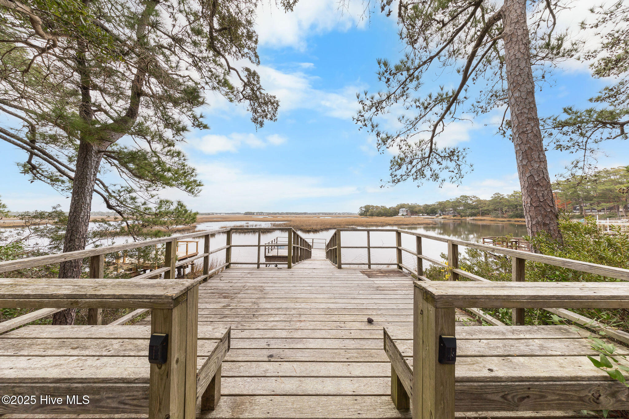 100546976 | Photo 26