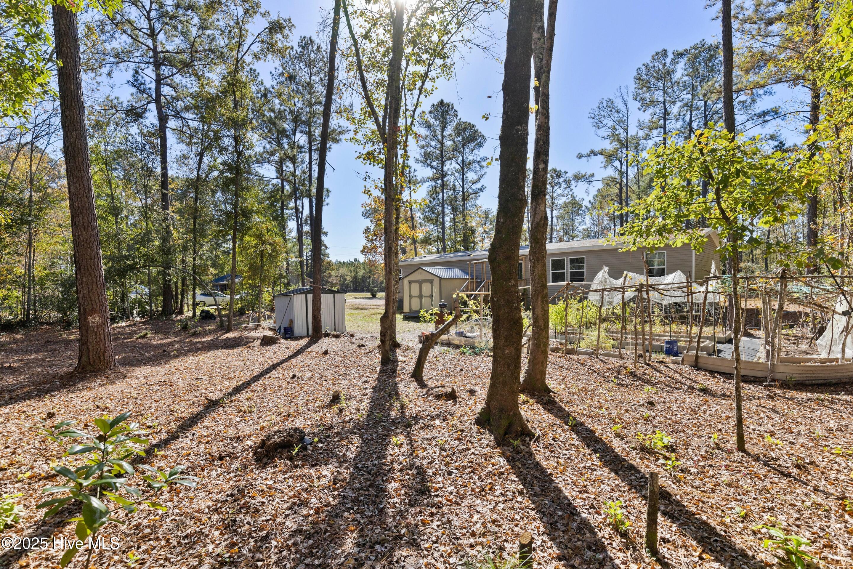 100542146 | Photo 46