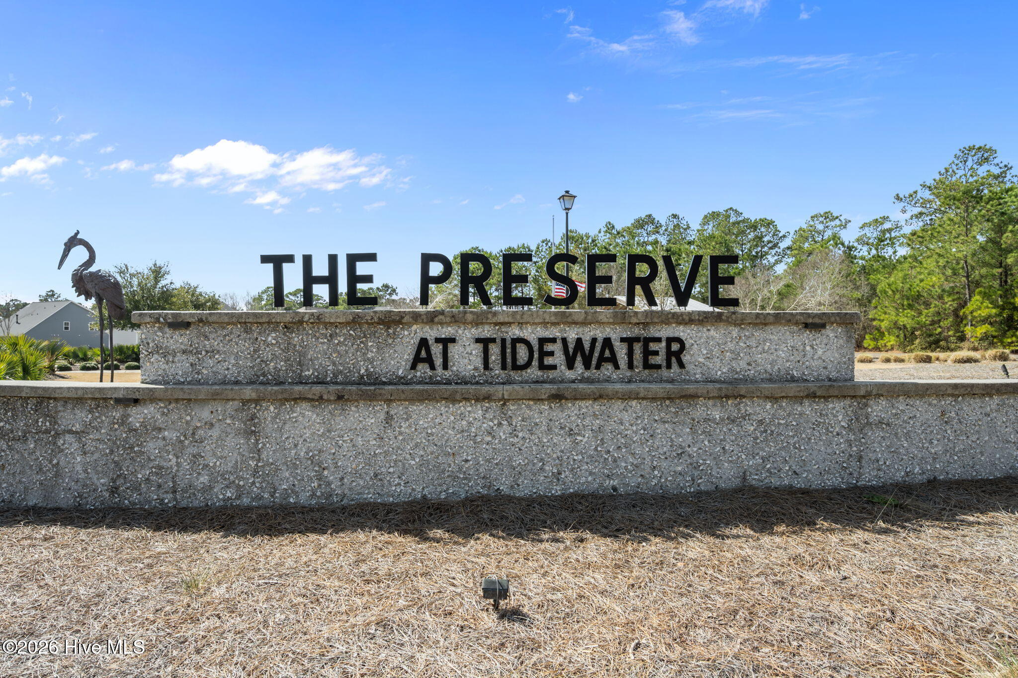 100559787 | Photo 33