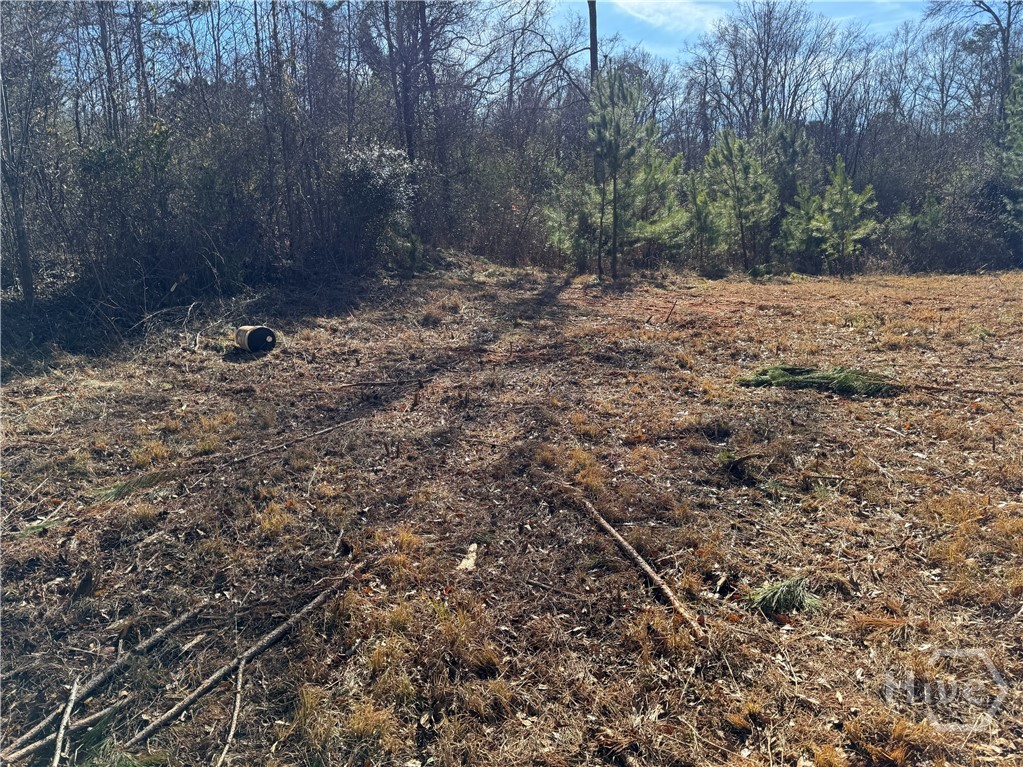 738 Old Mineral Springs Road, Elberton, GA, 30635