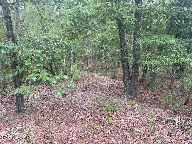 Exterior photo of 300 Gardenia Lane, White Oak, NC 28399. MLS: 100597086