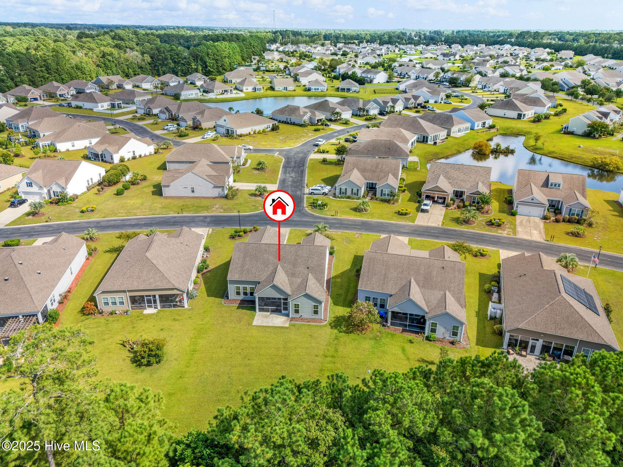 100550824 | Photo 42