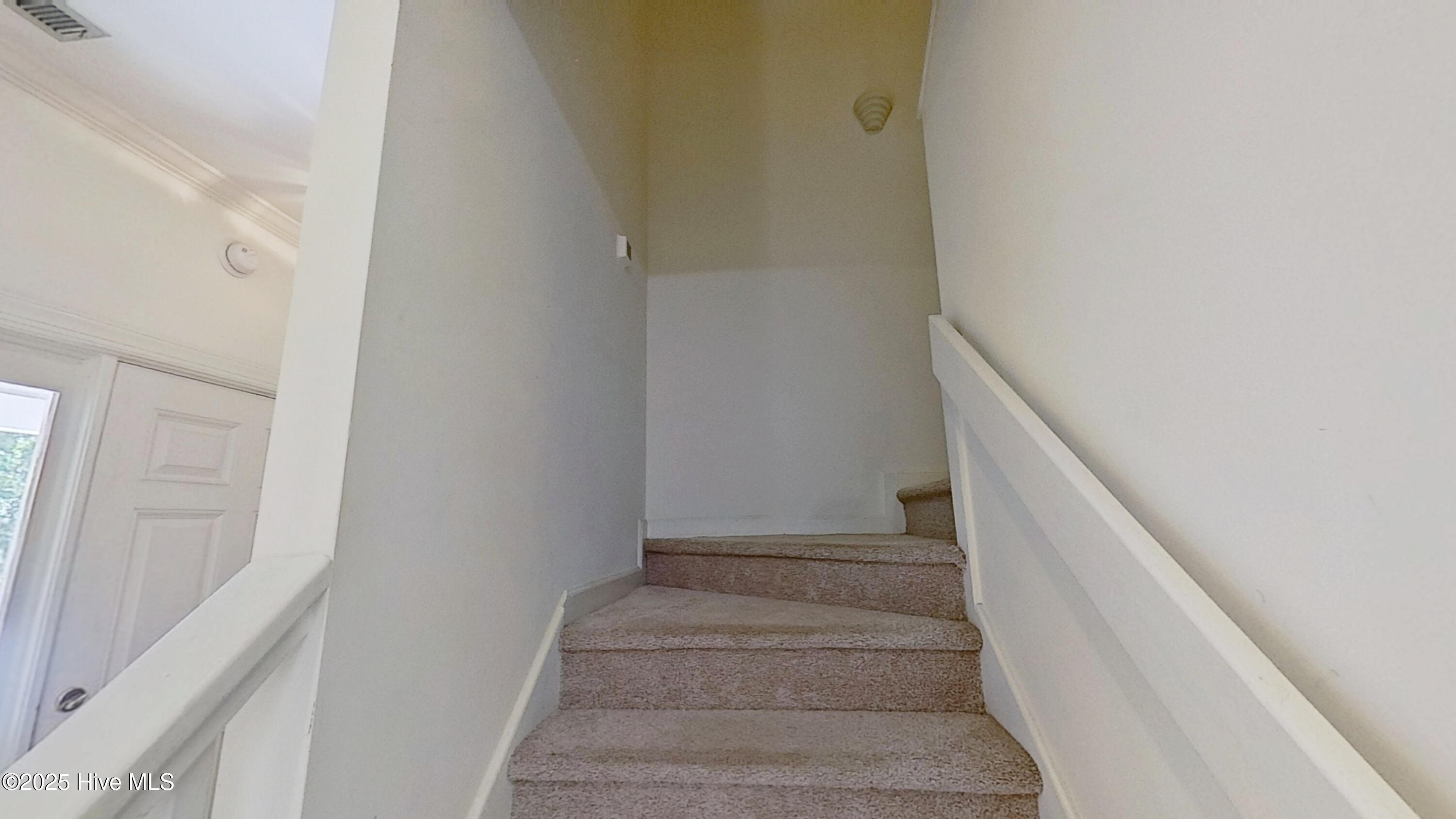 100523164 | Photo 10