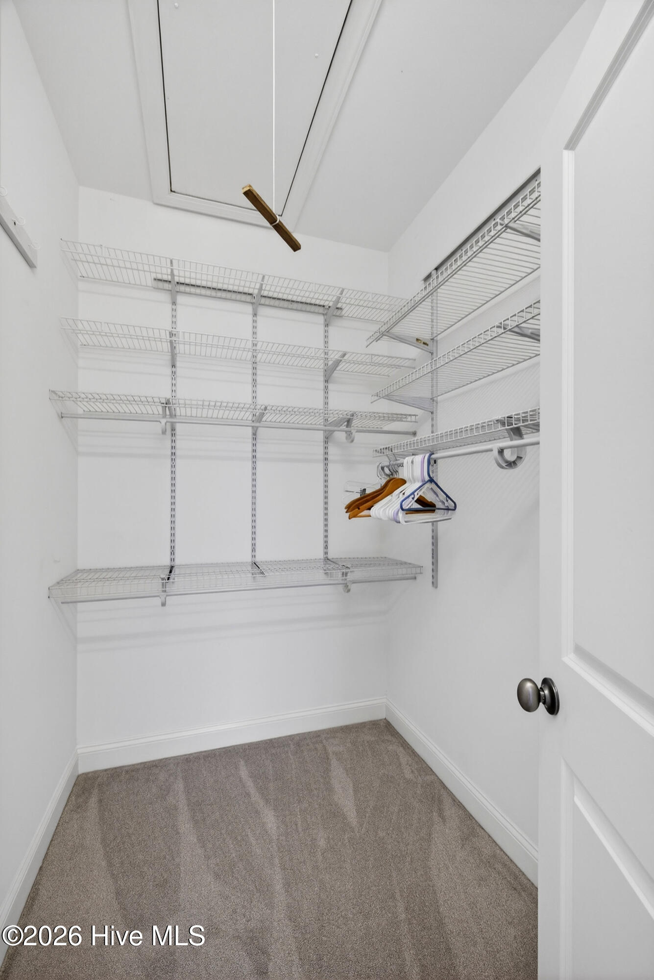 100562994 | Photo 26