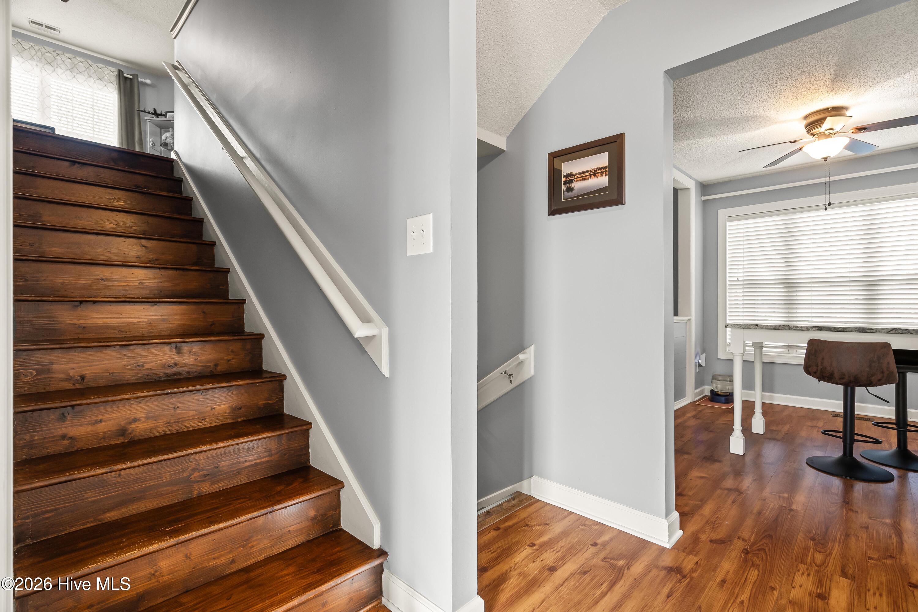 100550055 | Photo 24