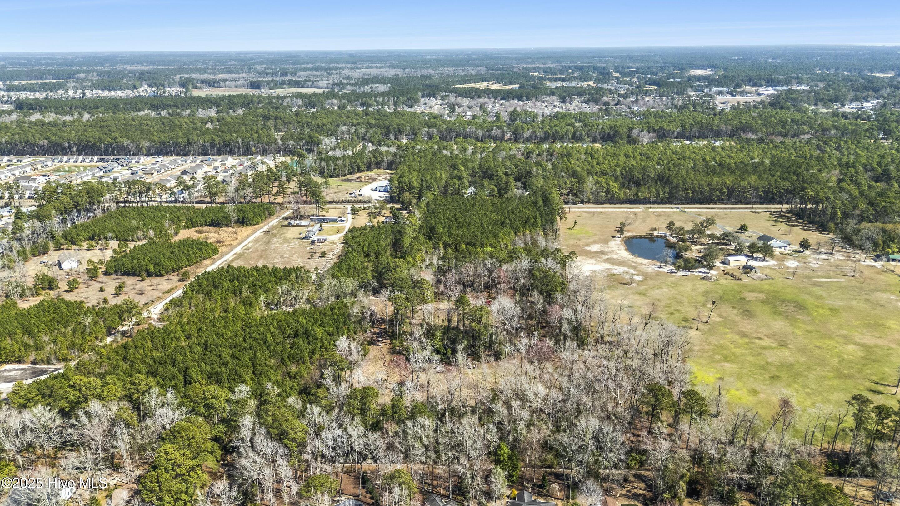 100495483 | Photo 14