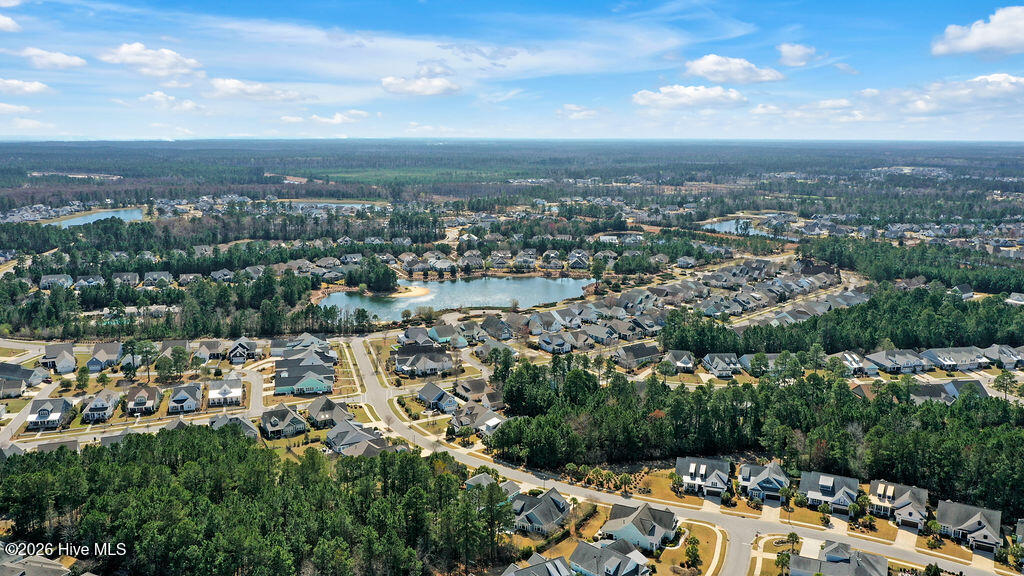 100558755 | Photo 47