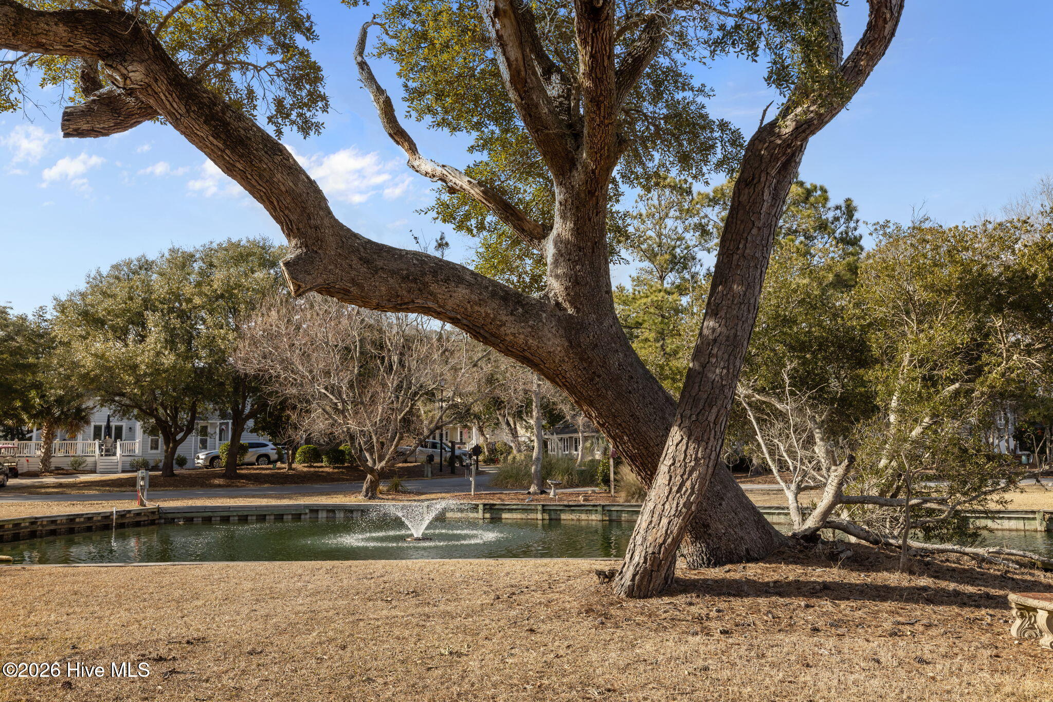 100551072 | Photo 13