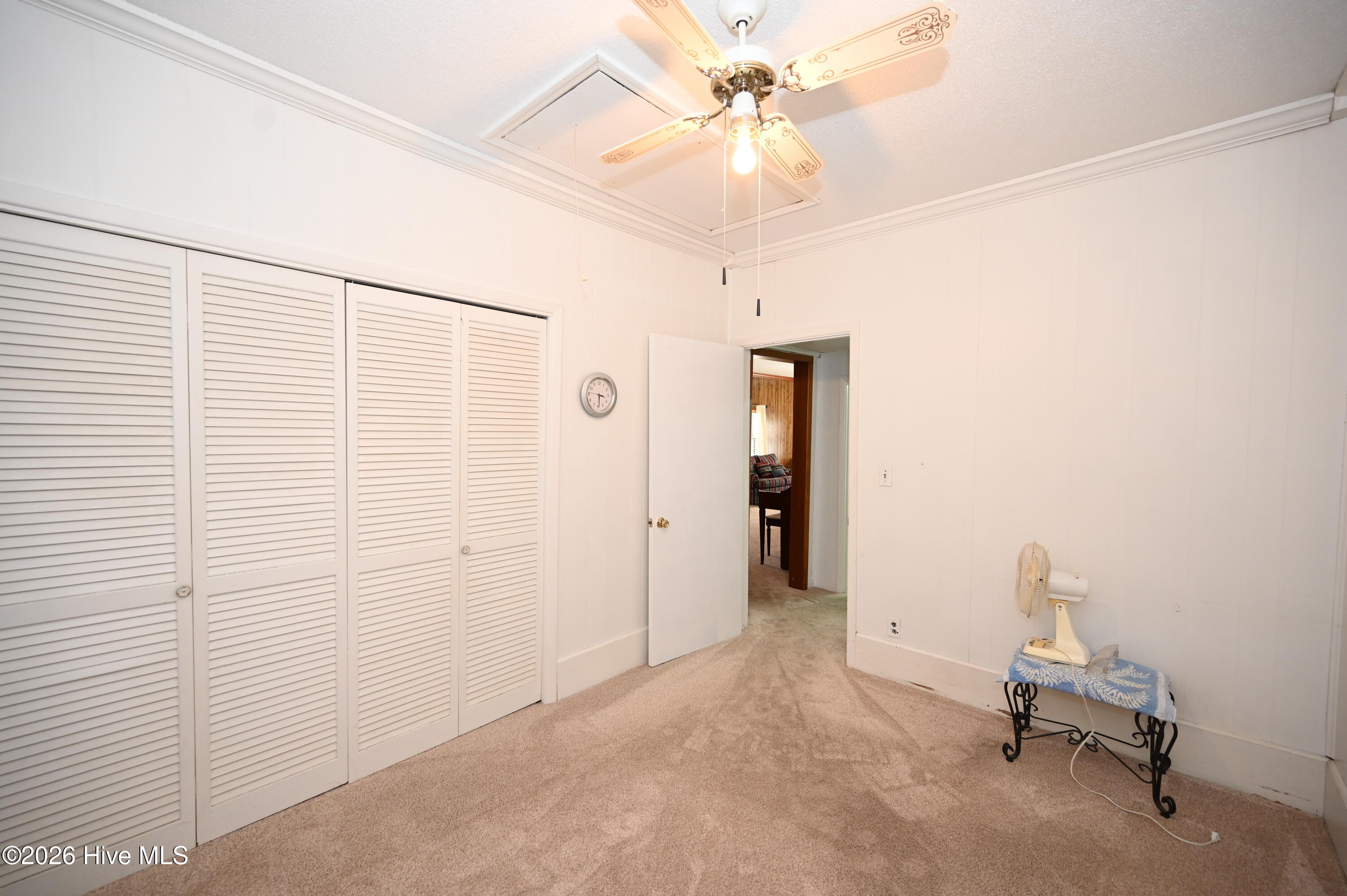 100556299 | Photo 13