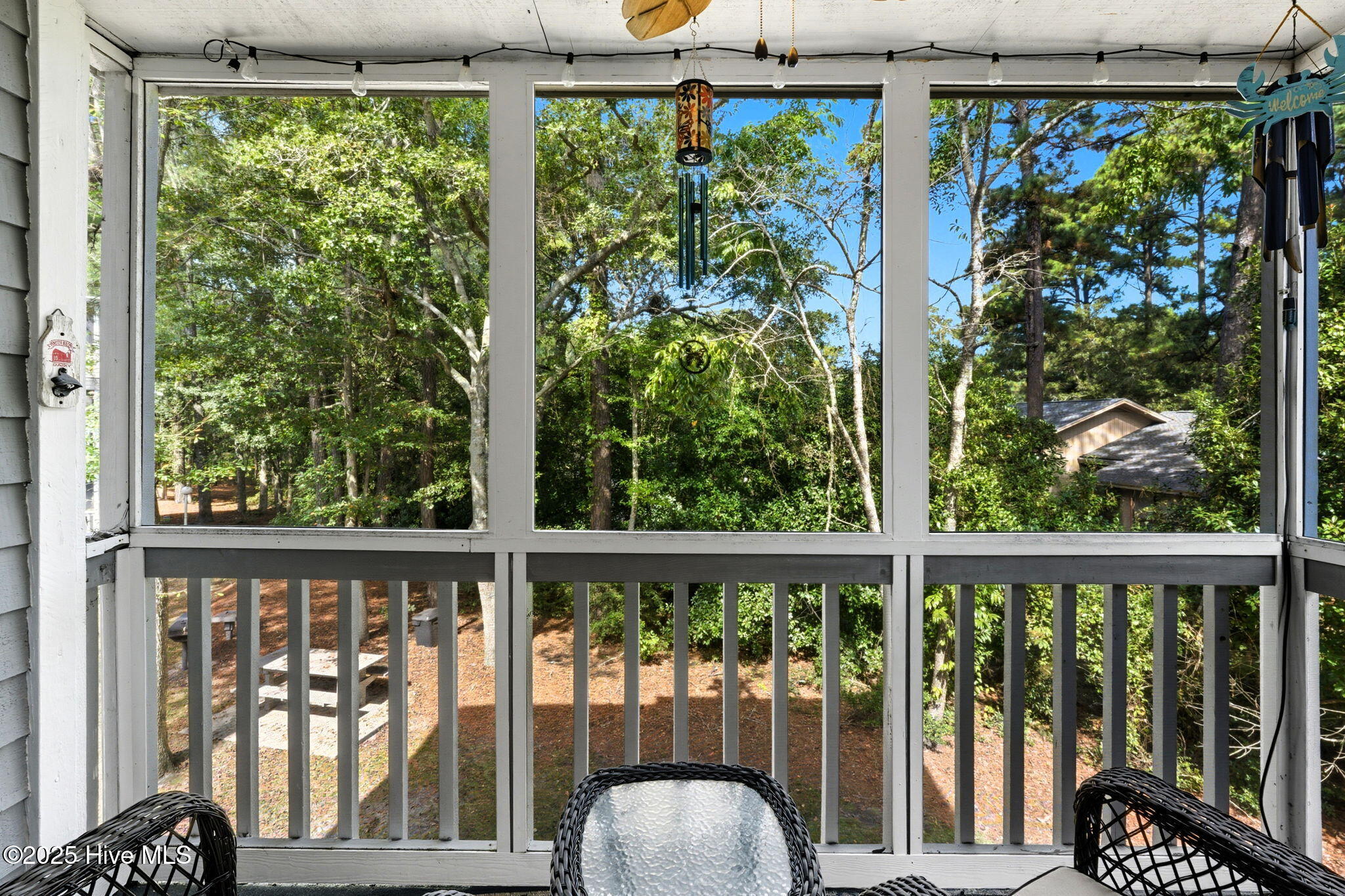 100535157 | Photo 19