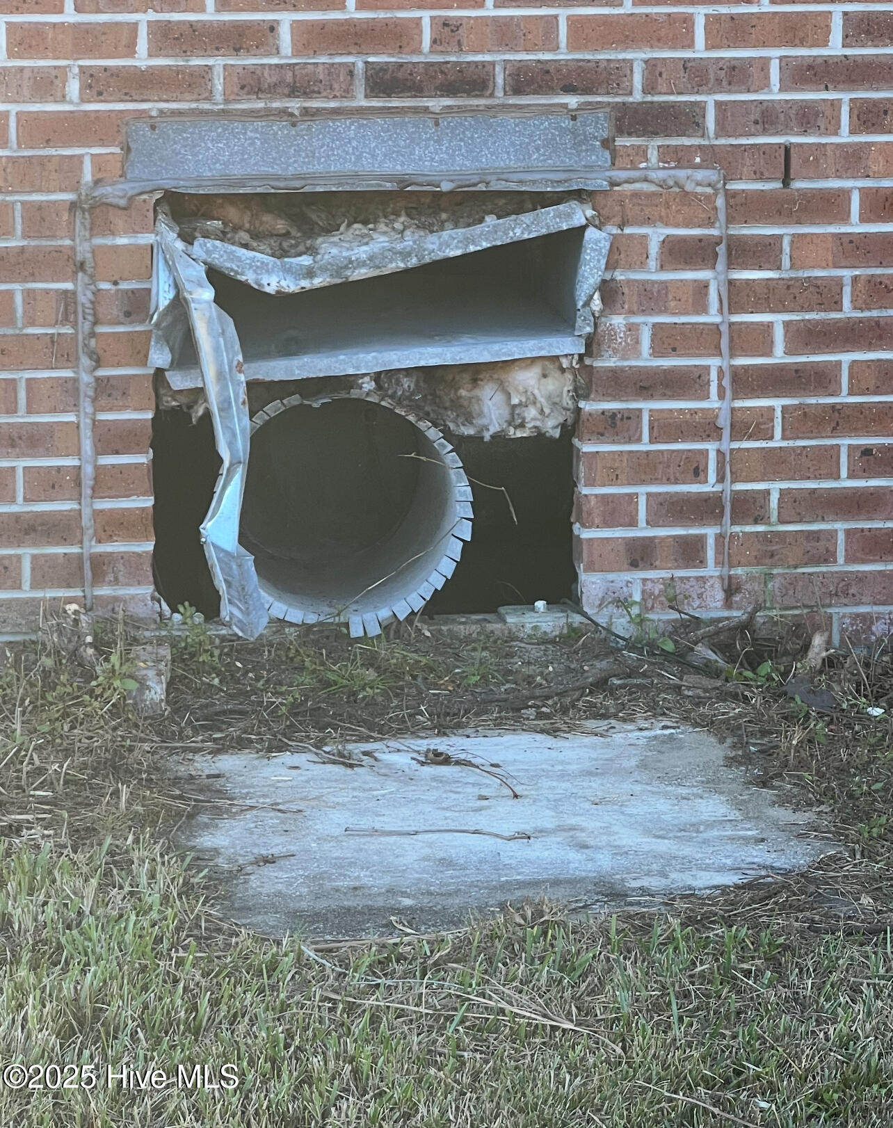 100545246 | Photo 24