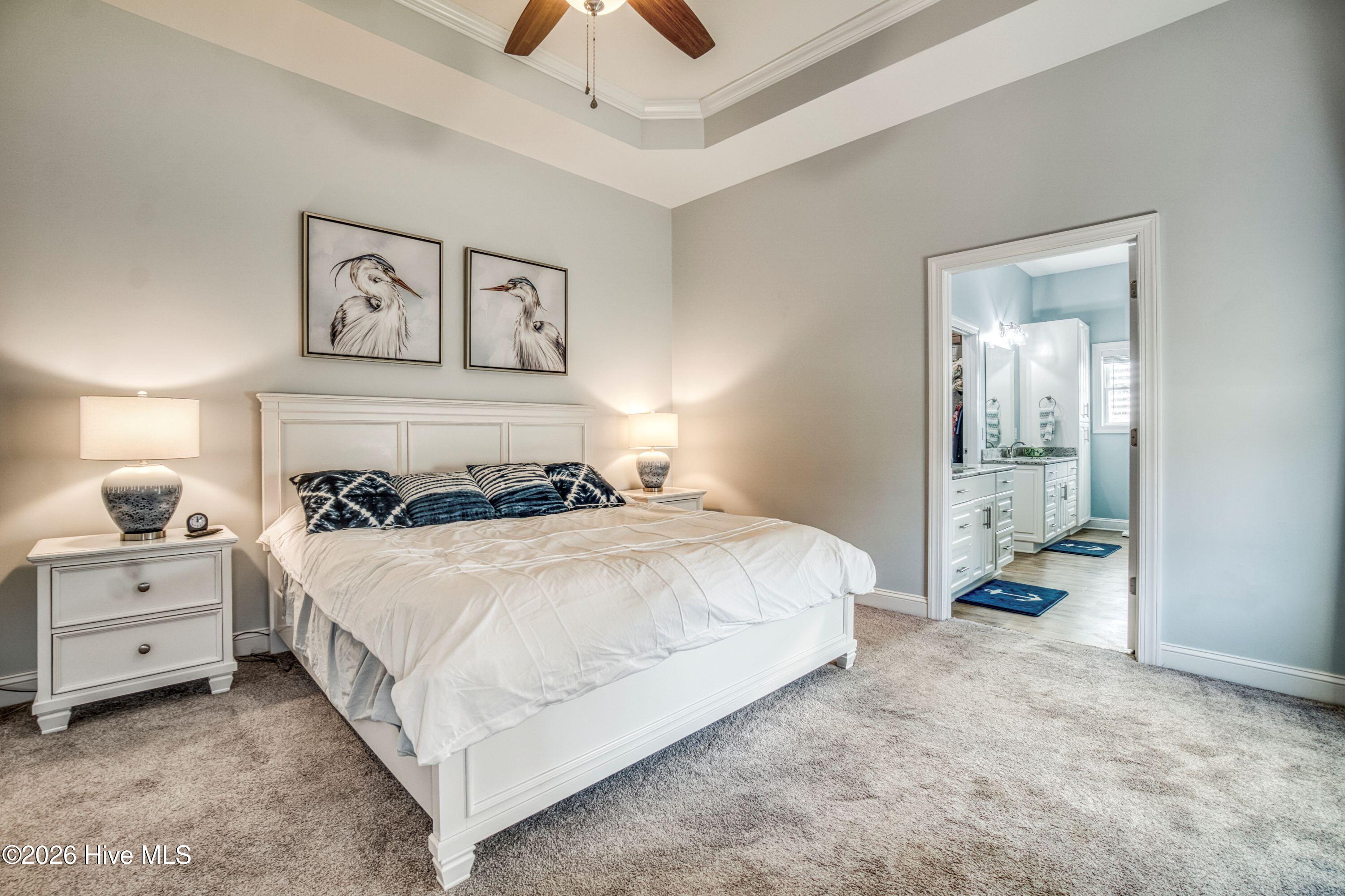 100557906 | Photo 12