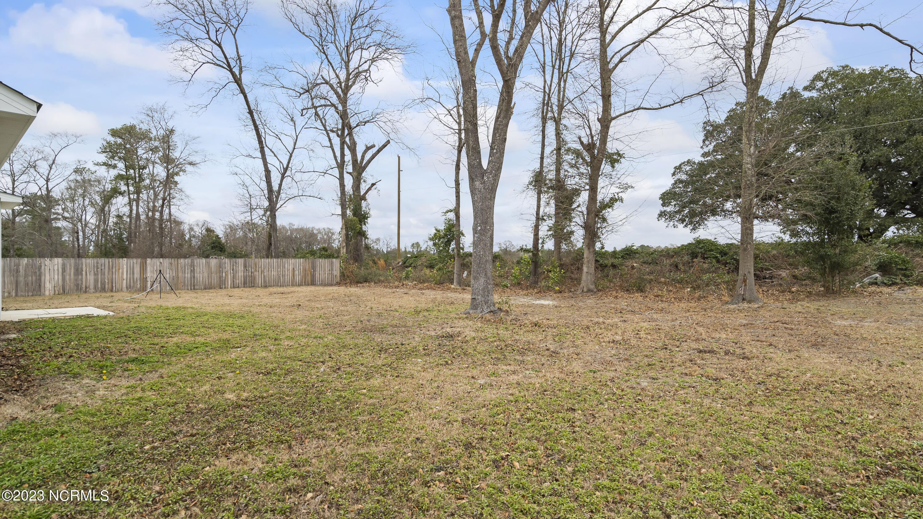 100551451 | Photo 22