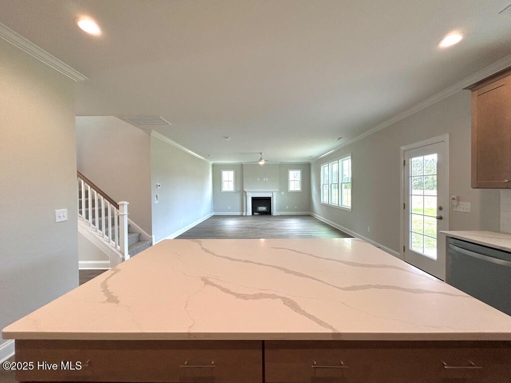 100535078 | Photo 15