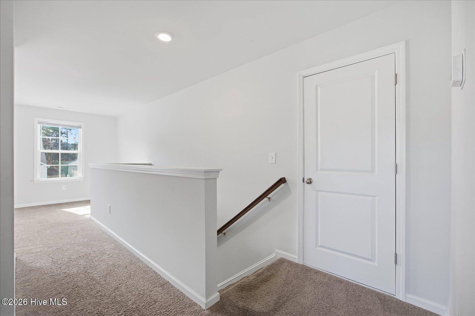 100548864 | Photo 29