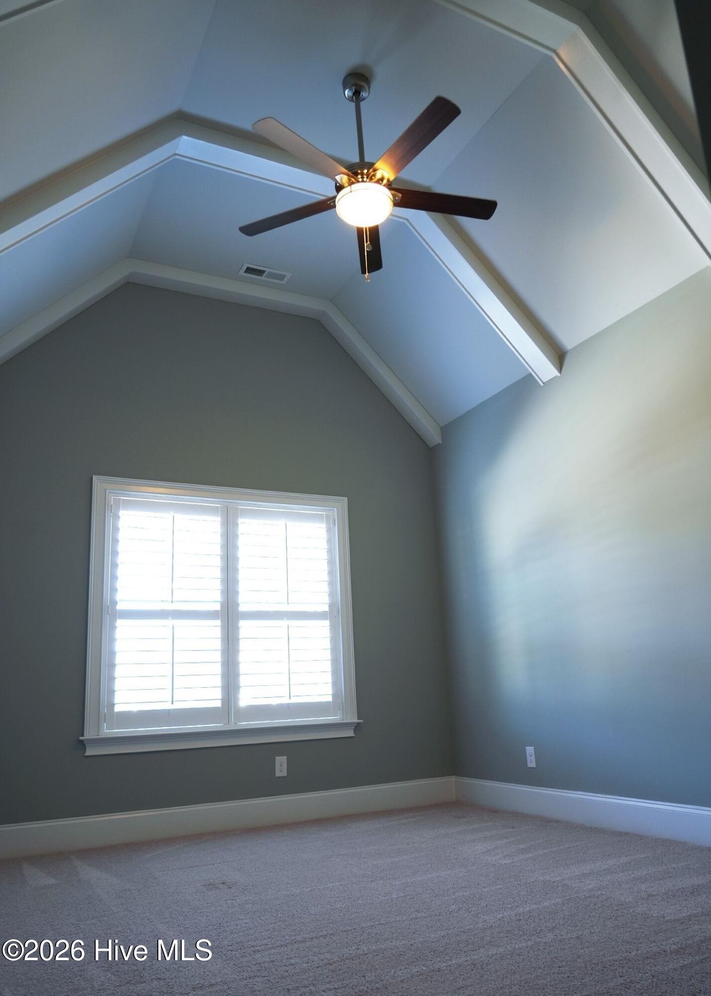 100554172 | Photo 25