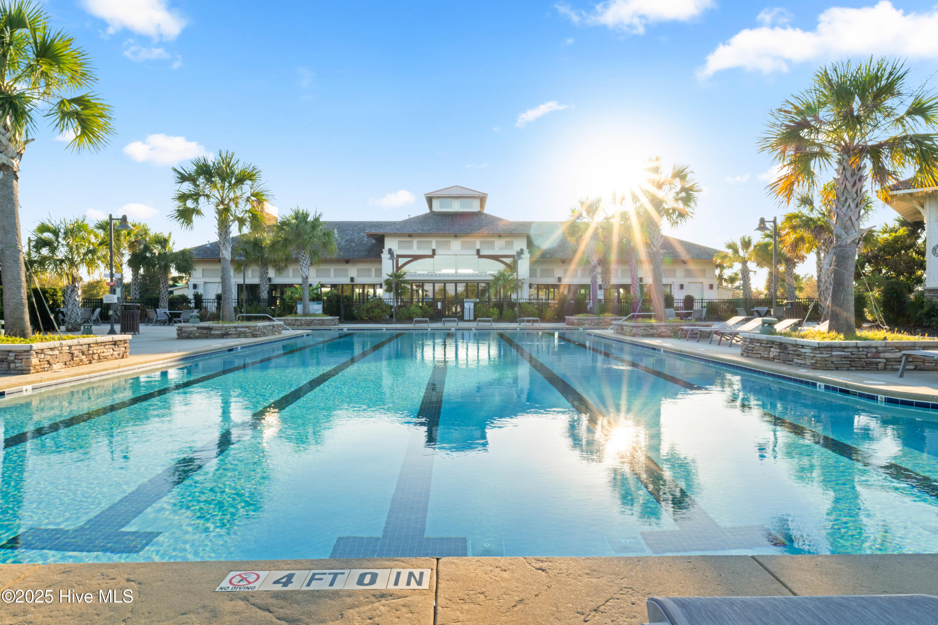 100536175 | Photo 66