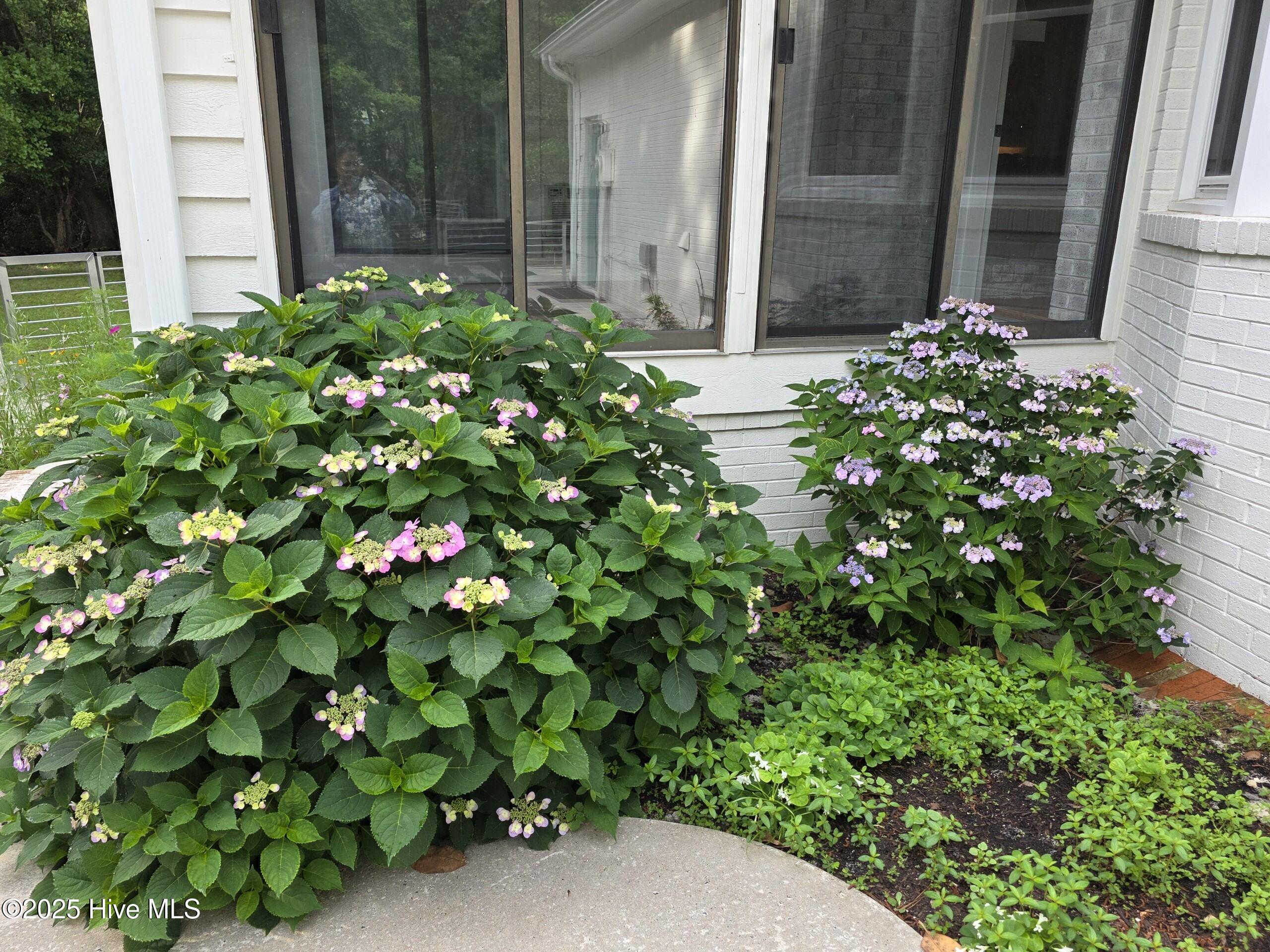 100500123 | Photo 42