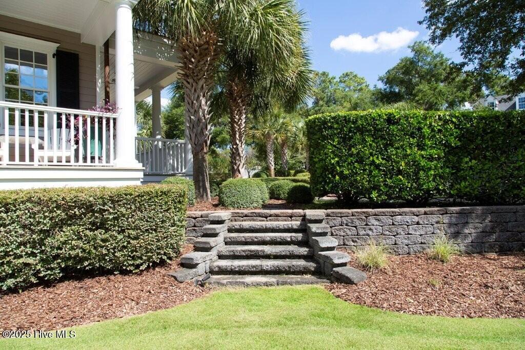 100553124 | Photo 73