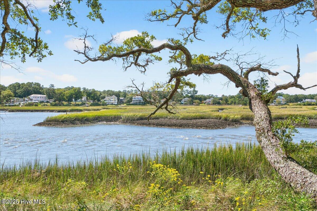 100536911 | Photo 41