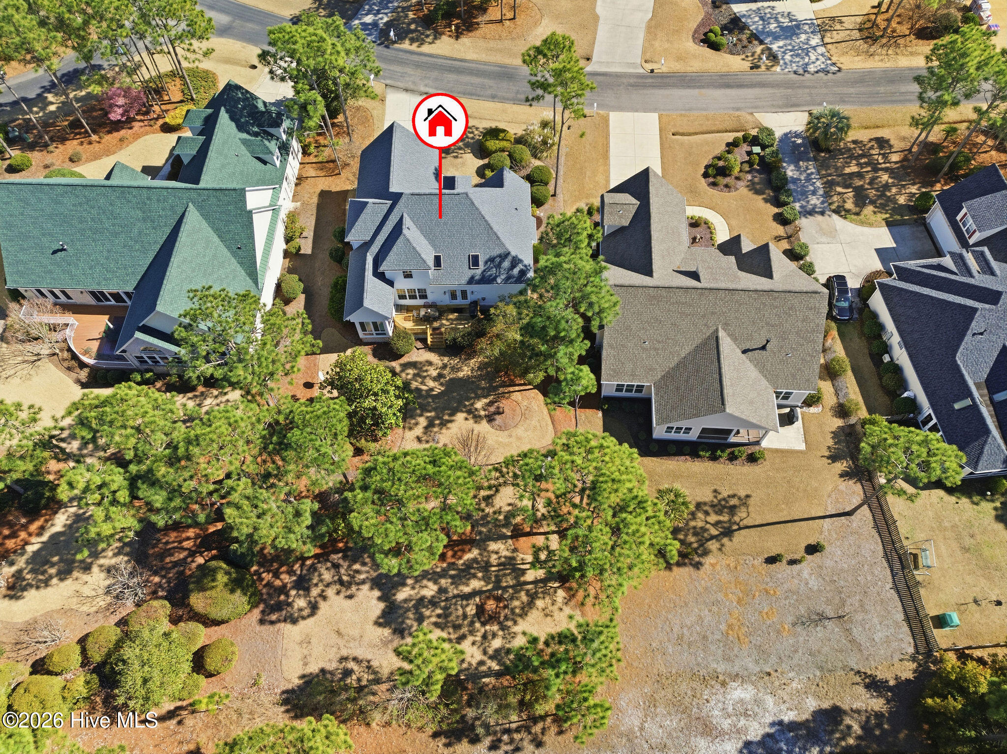 100558304 | Photo 54