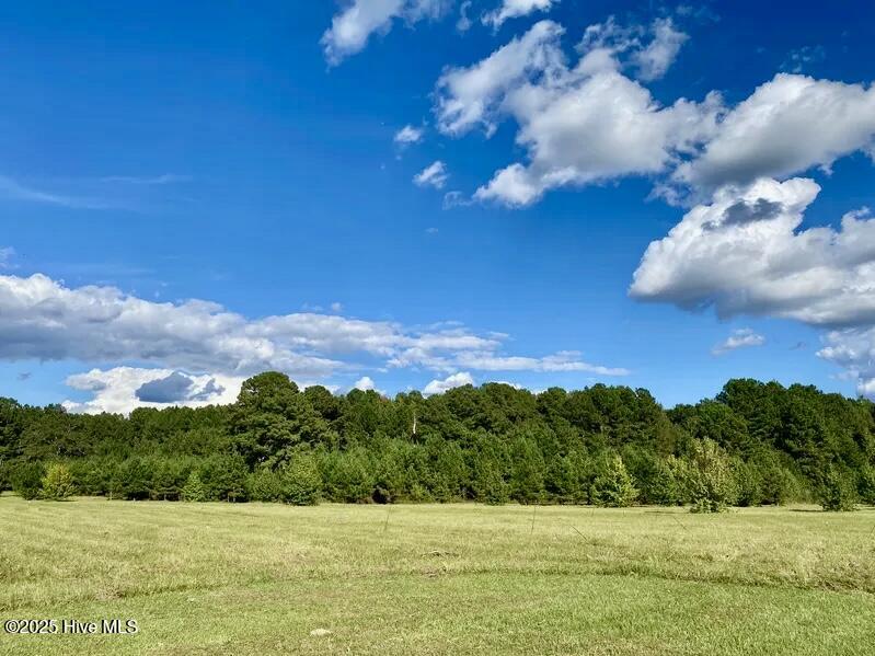 Homes for sale in Rockingham, NC | Tbd Sandhill Rd, Rockingham, NC 28379 | MLS# 100538036