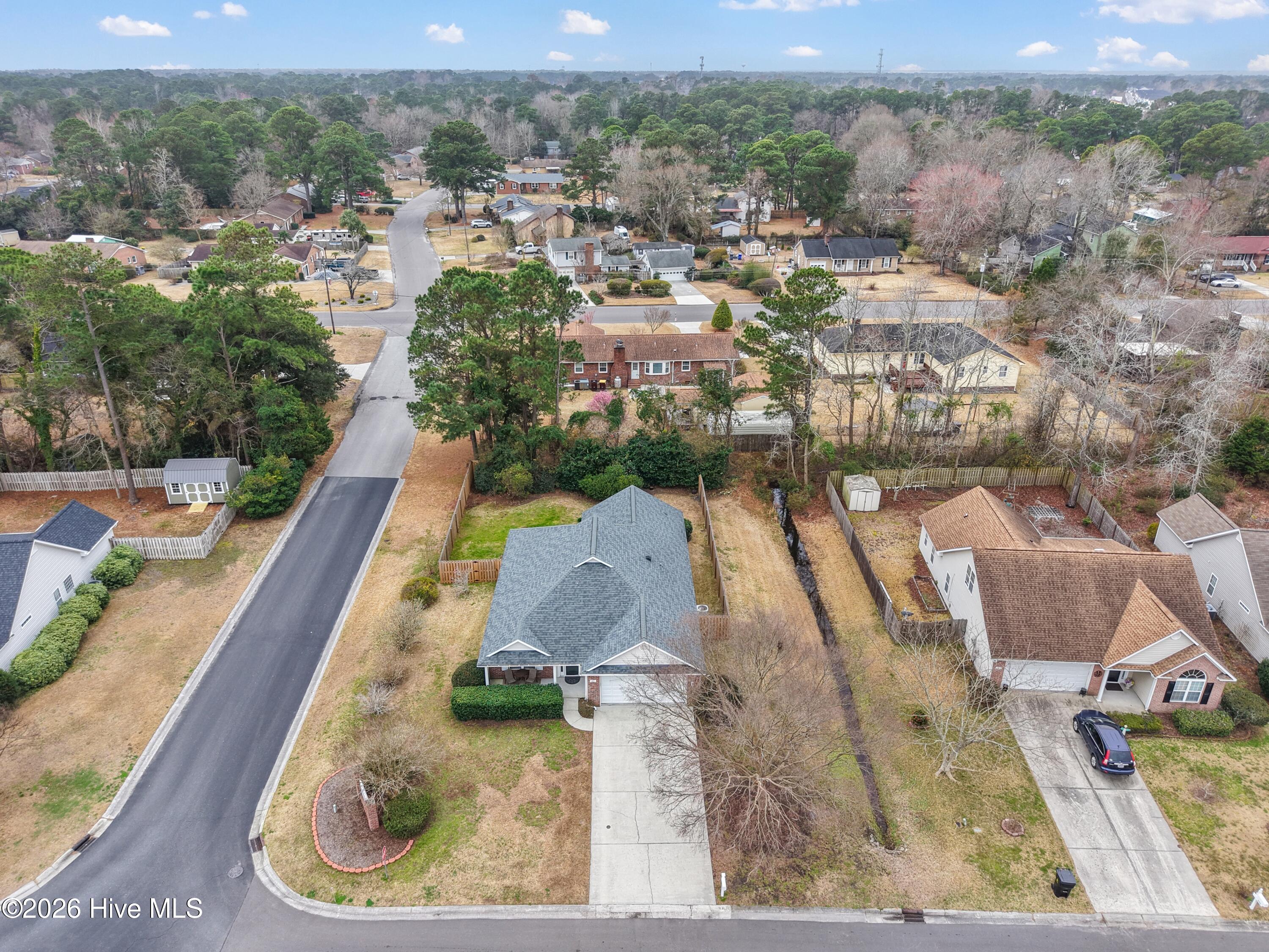 100558212 | Photo 36